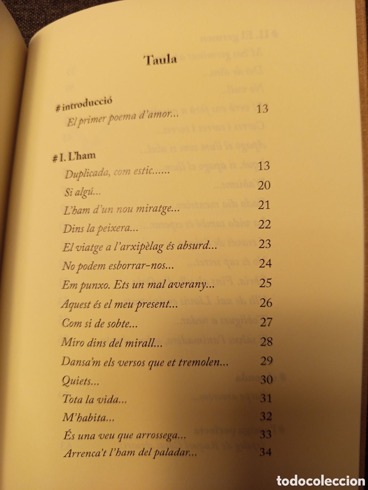 Libros de segunda mano: LANIMAL PERFECTE (LIDIA GAZQUEZ) - Foto 3