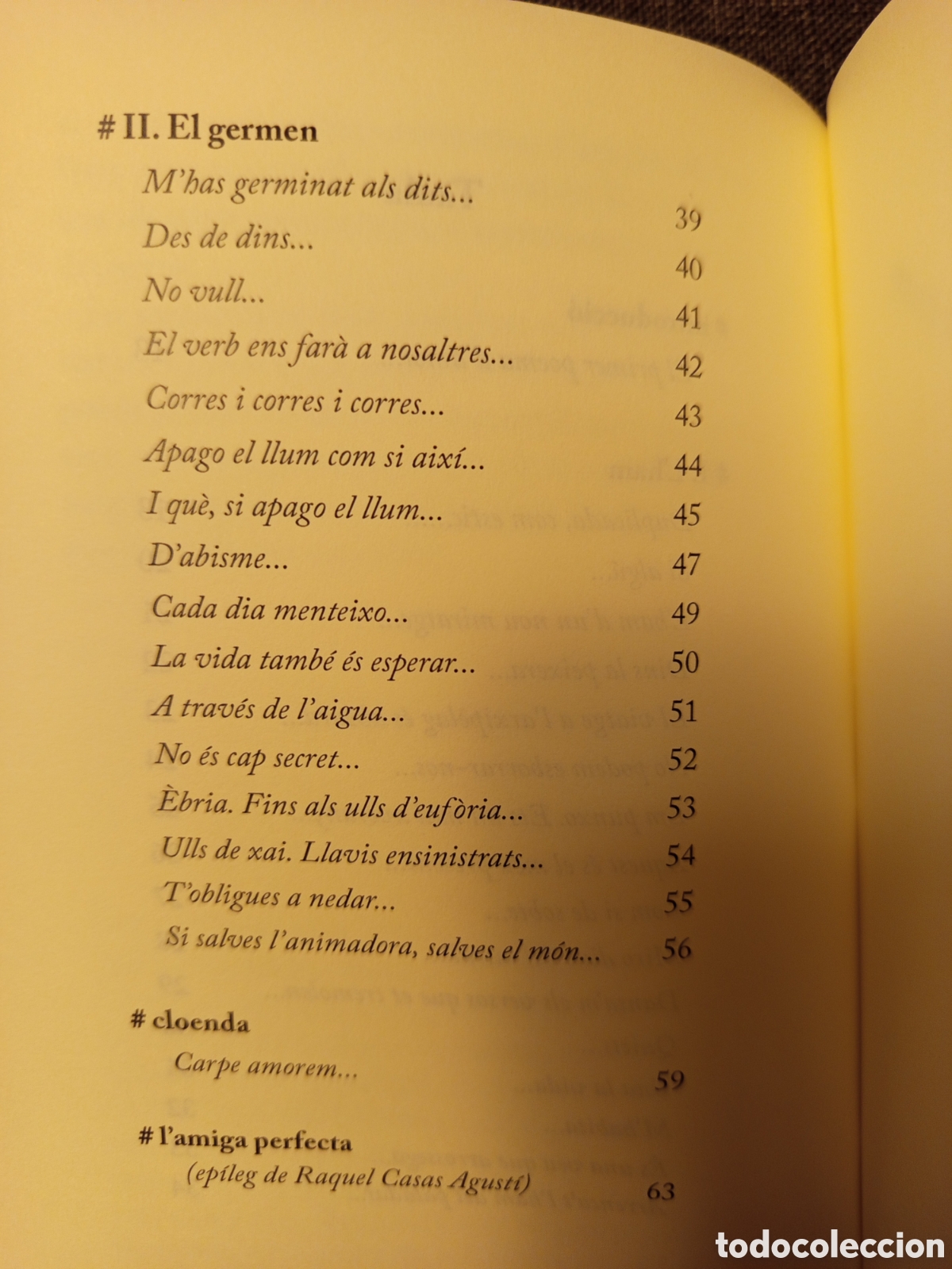 Libros de segunda mano: LANIMAL PERFECTE (LIDIA GAZQUEZ) - Foto 4