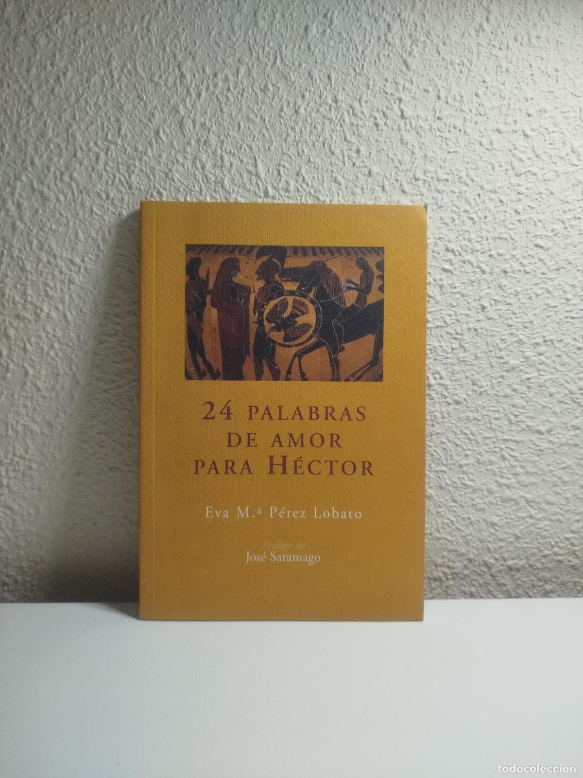 Libri di seconda mano: 24 palabras de amor para H&eacute;ctor - P&eacute;rez Lobato, Eva Mar&iacute;a