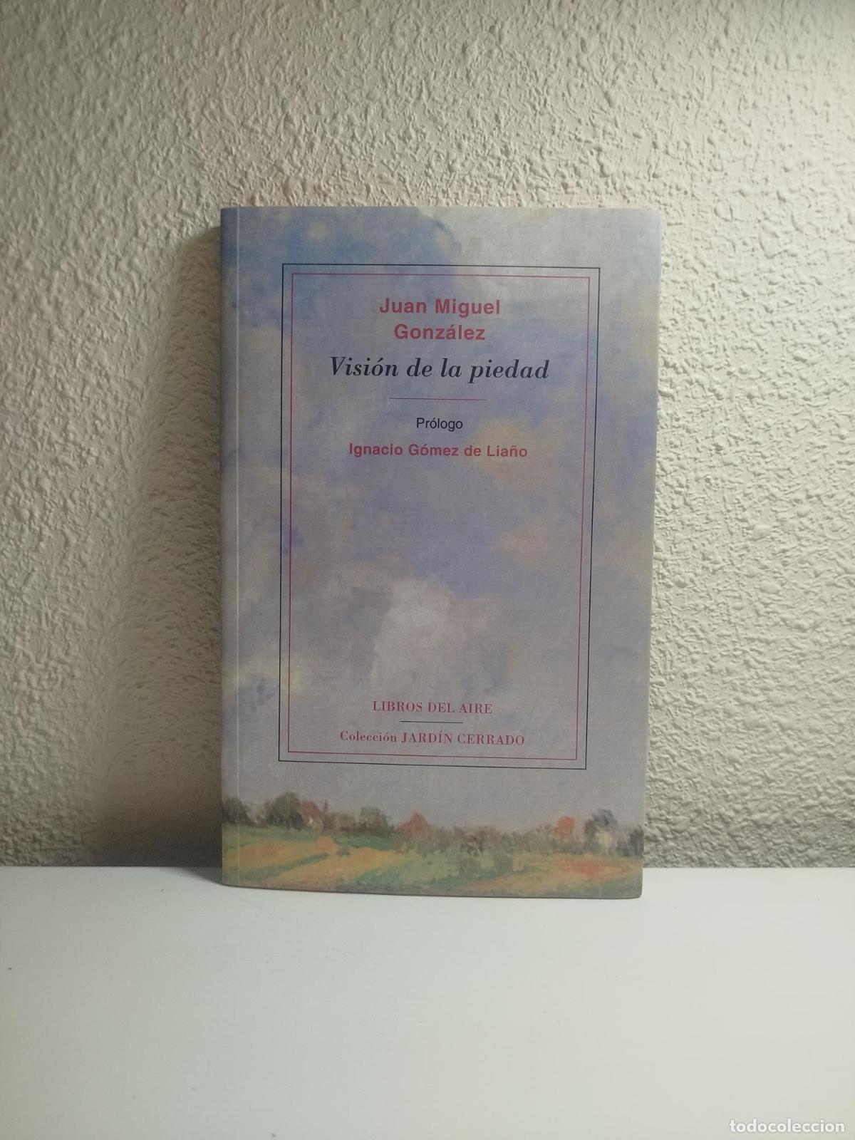 Libri di seconda mano: Visi&oacute;n de la piedad - GONZALEZ -FIERRO SANTOS, FRANCISCO JAVIER