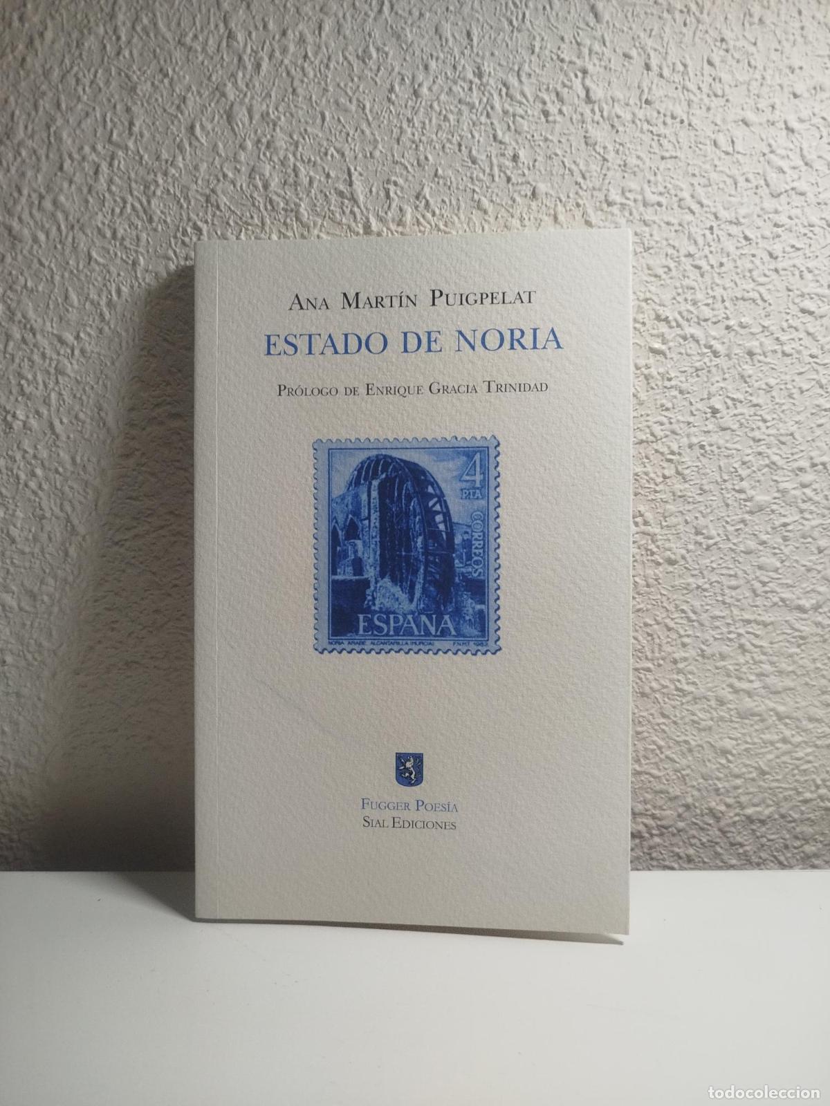 Libri di seconda mano: Estado de noria - Mart&iacute;n Puigpelat, Ana