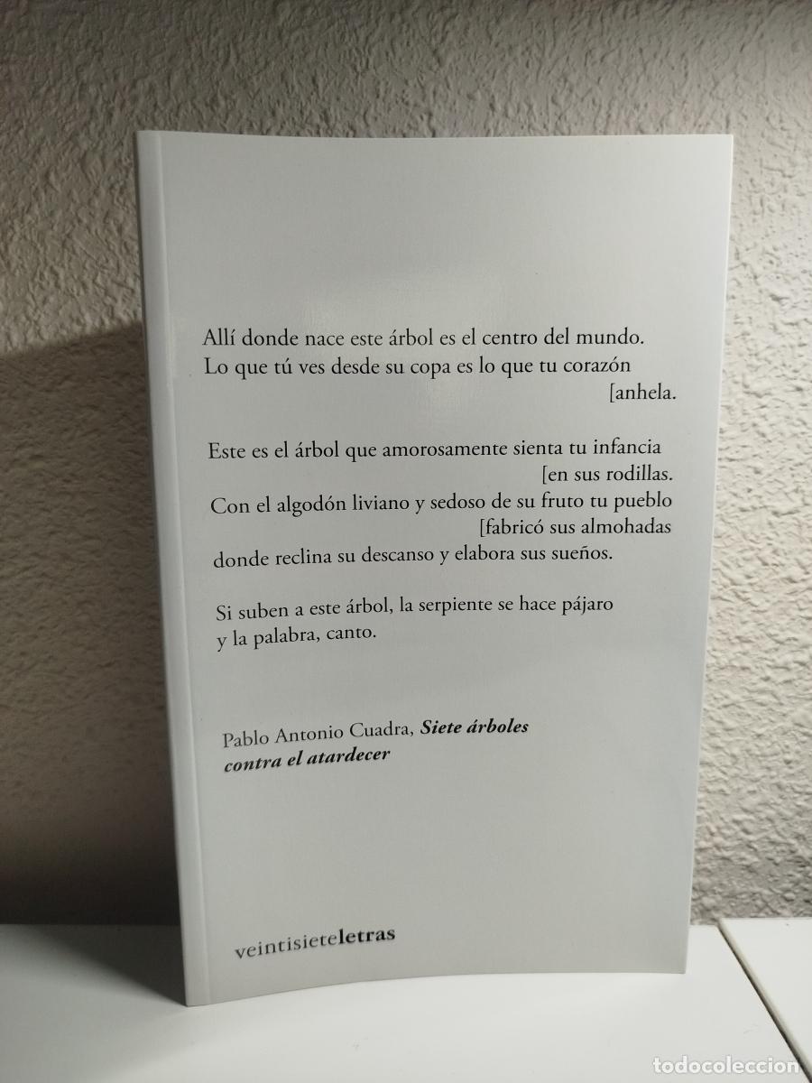 Libri di seconda mano: Siete &aacute;rboles contra el atardecer - Cuadra Cardenal, Pablo Antonio