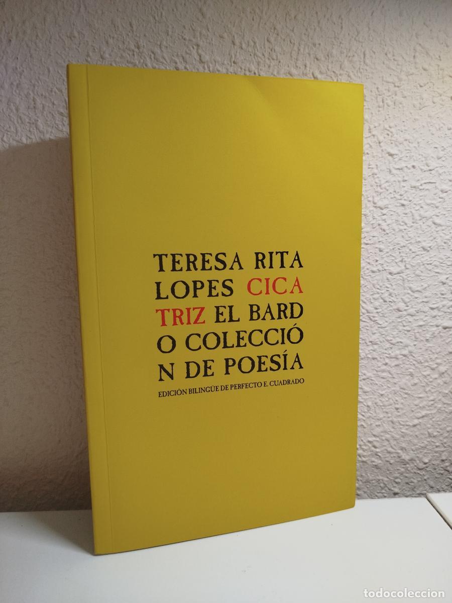 Libros de segunda mano: Cicatriz - Lopes, Teresa Rita - Foto 1