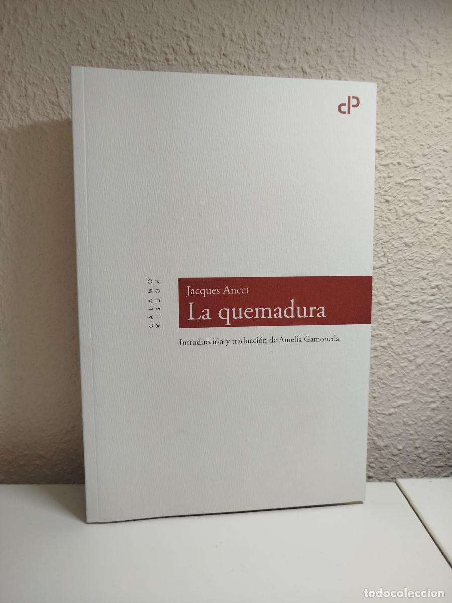 Libros de segunda mano: La quemadura - Ancet, Jacques - Foto 1