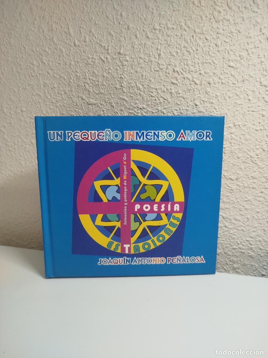 Gebrauchte B&uuml;cher: Un peque&ntilde;o inmenso amor - Pe&ntilde;alosa Santillana, Joaqu&iacute;n Antonio