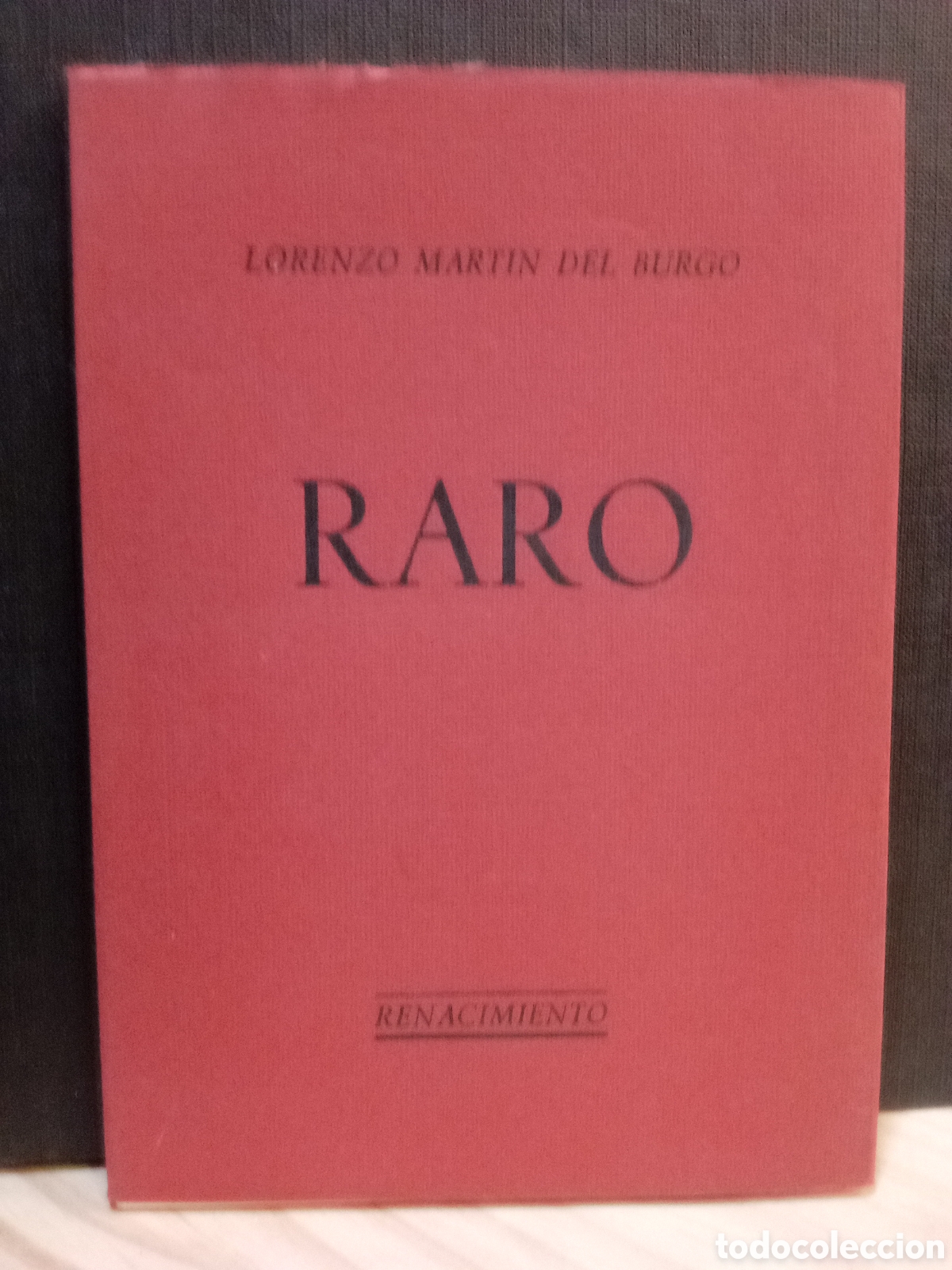Libri di seconda mano: Raro. Lorenzo Mart&iacute;n del Burgo