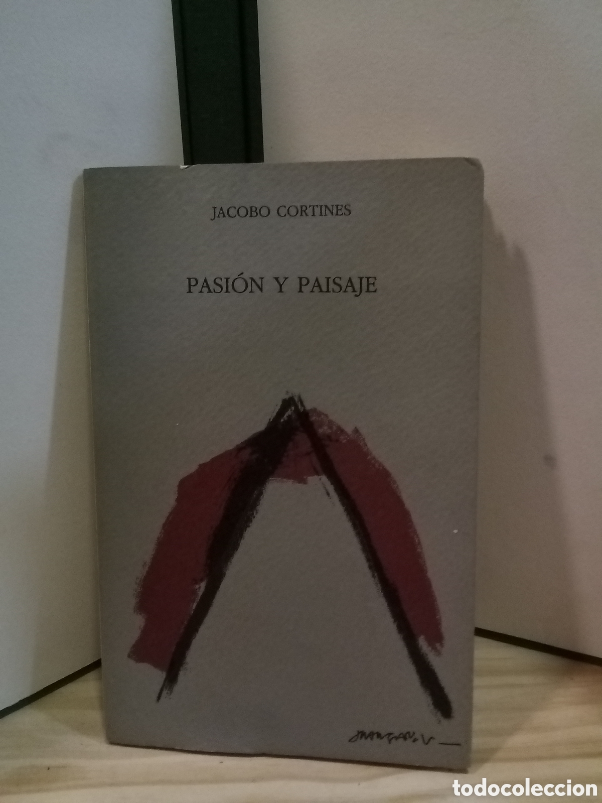Gebrauchte B&uuml;cher: Pasi&oacute;n y Paisaje - Jacobo Cortines