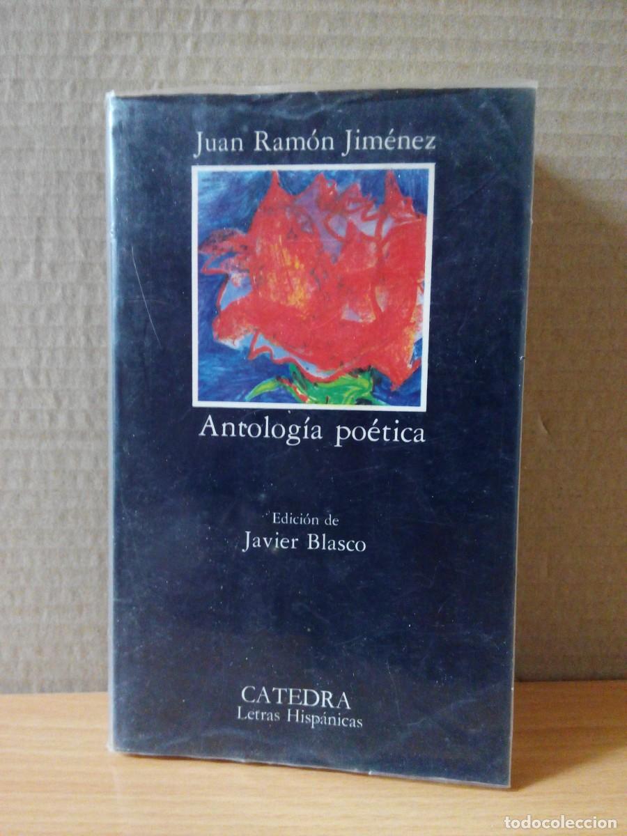 Libros de segunda mano: LOTE DE 2 LIBROS DE POESIA - Foto 9