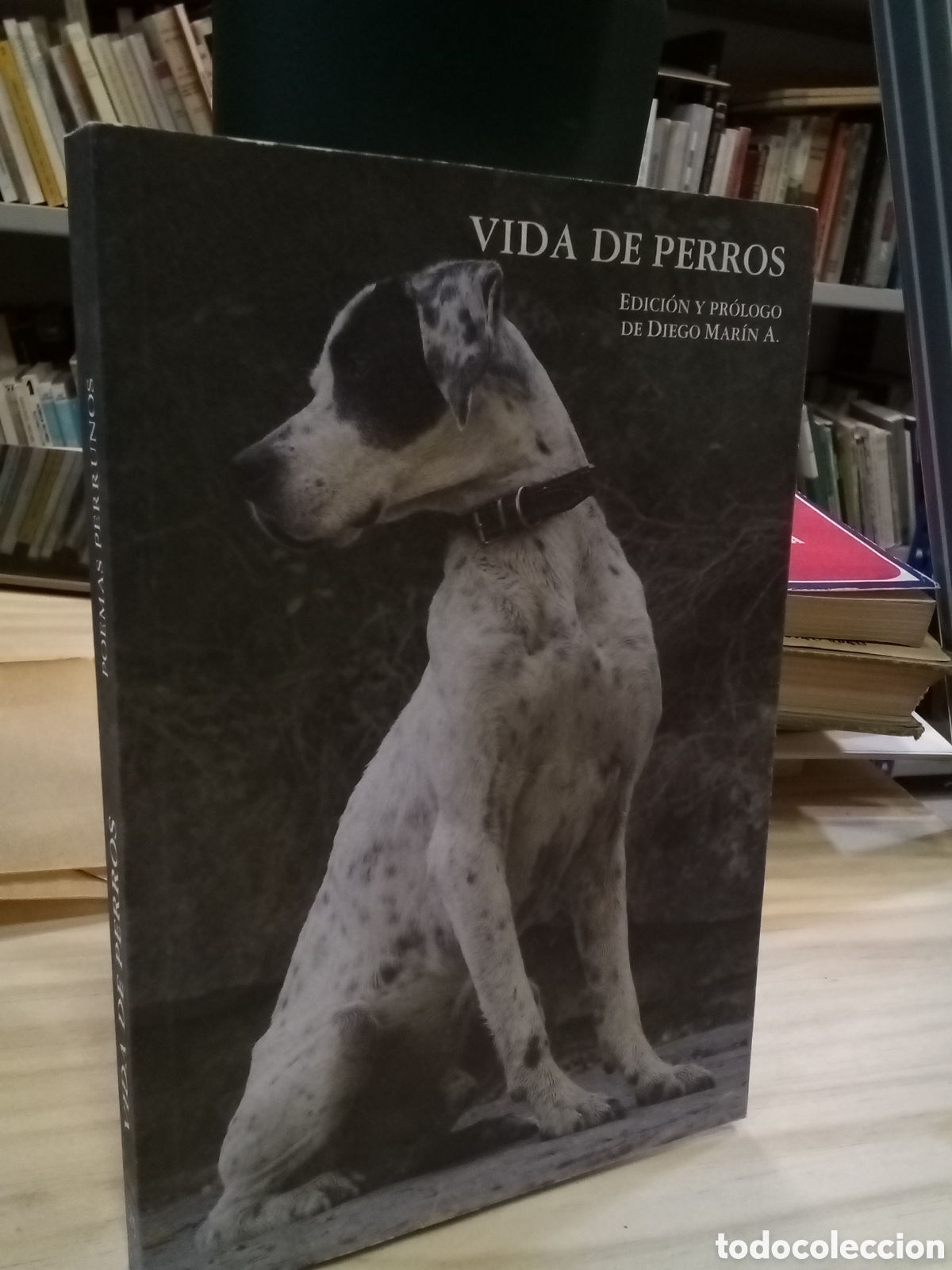 Libros de segunda mano: Vida de Perros - Diego Mar&iacute;n A. (Ed.)