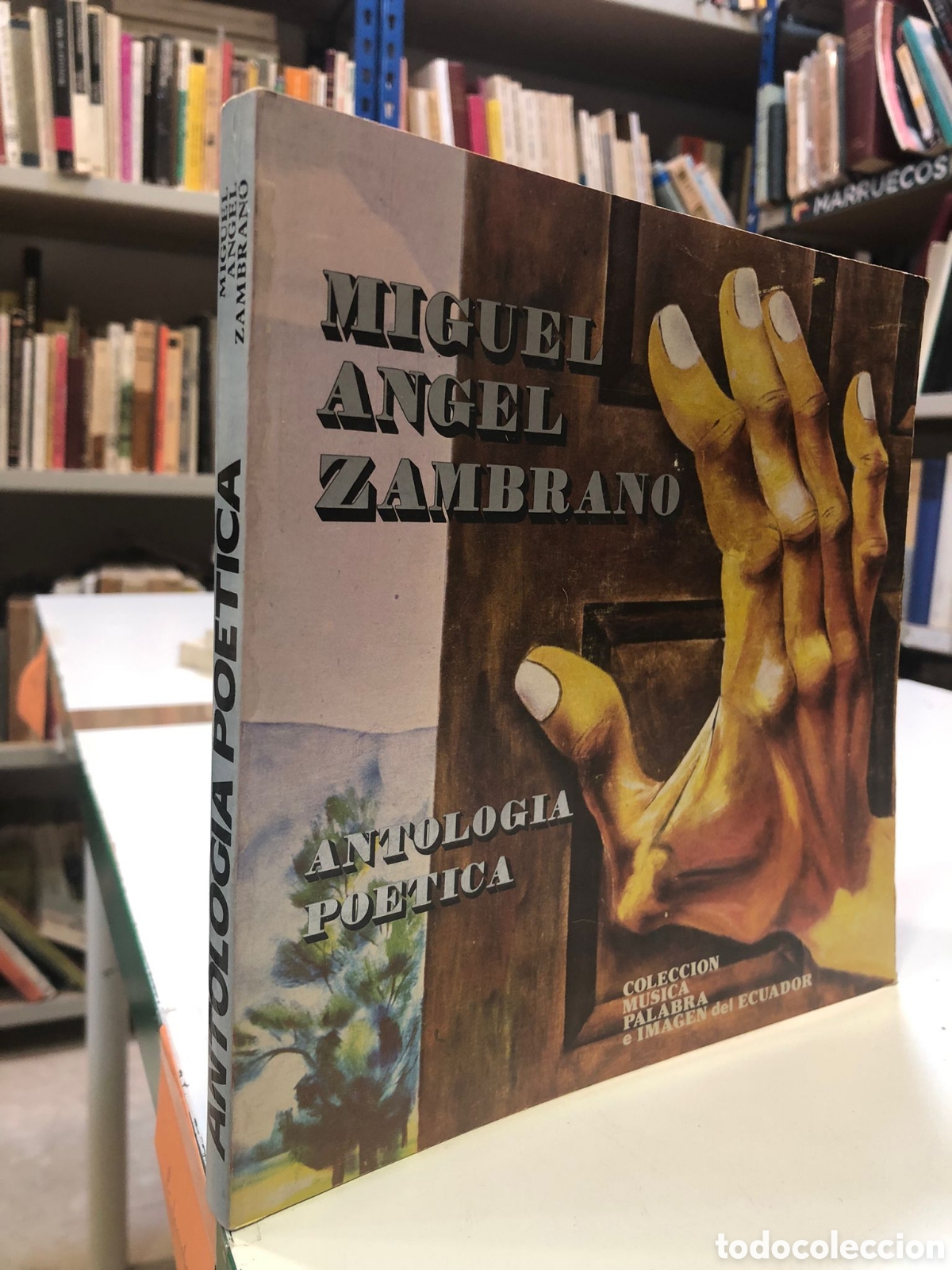 Libri di seconda mano: Antolog&iacute;a po&eacute;tica - Miguel &Aacute;ngel Zambrano