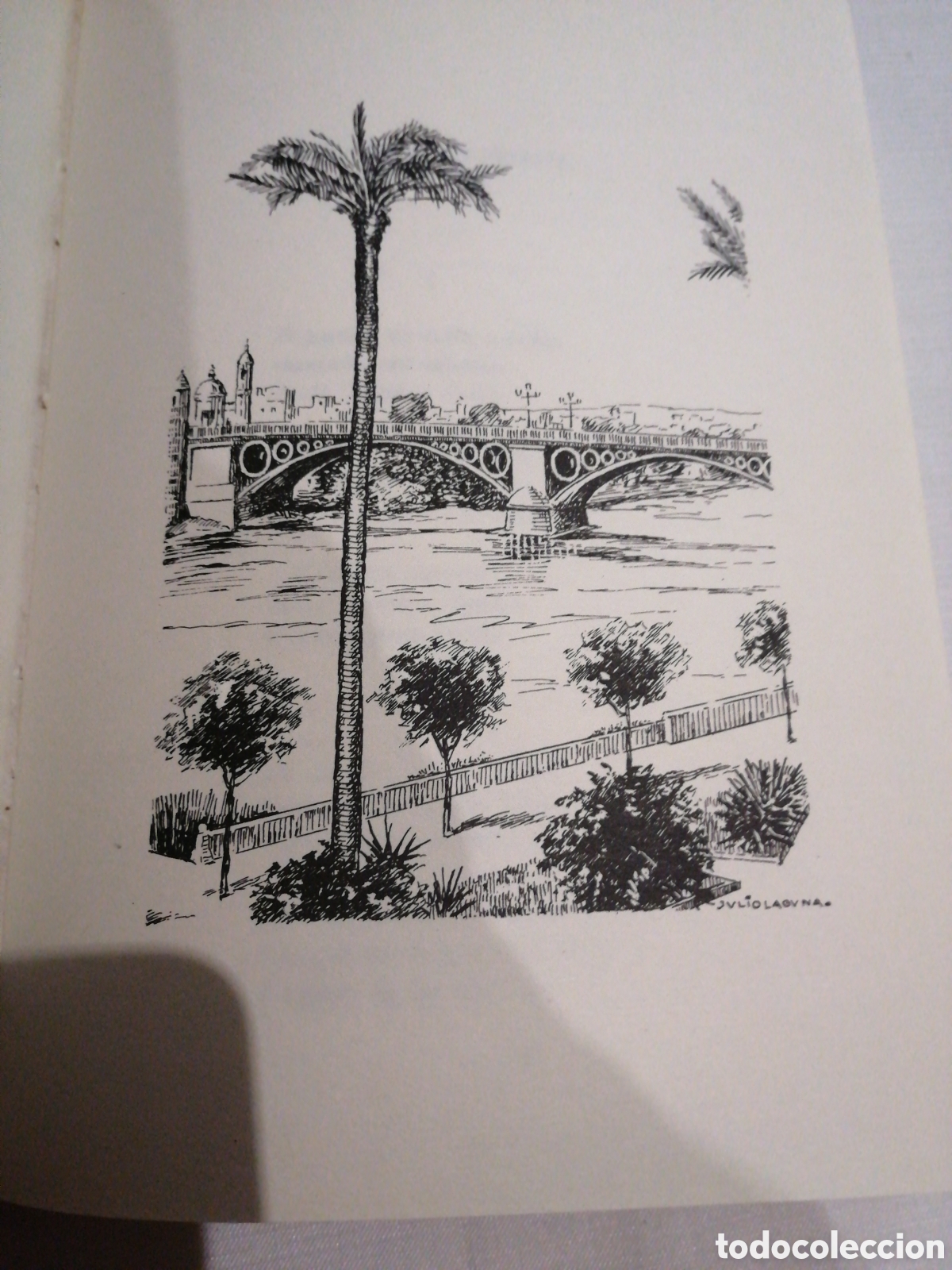 Libros de segunda mano: Tarajes Juan de Dios Pareja Obreg&oacute;n - Foto 4