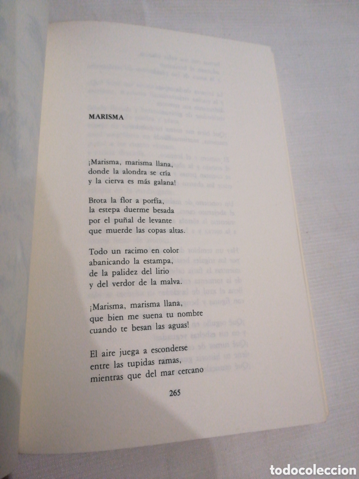 Libros de segunda mano: Tarajes Juan de Dios Pareja Obreg&oacute;n - Foto 5