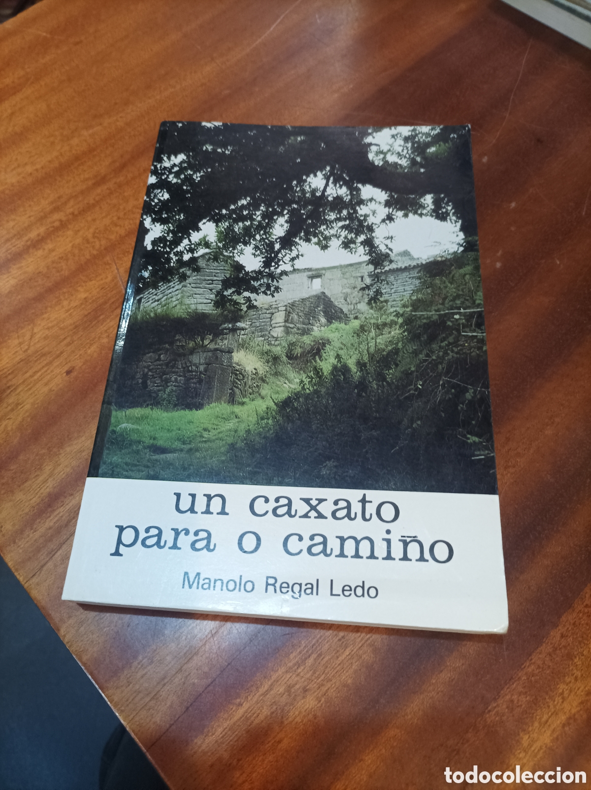 Libros de segunda mano: UN CAXATO PARA O CAMI&Ntilde;O.MANOLO REGAL LEDO