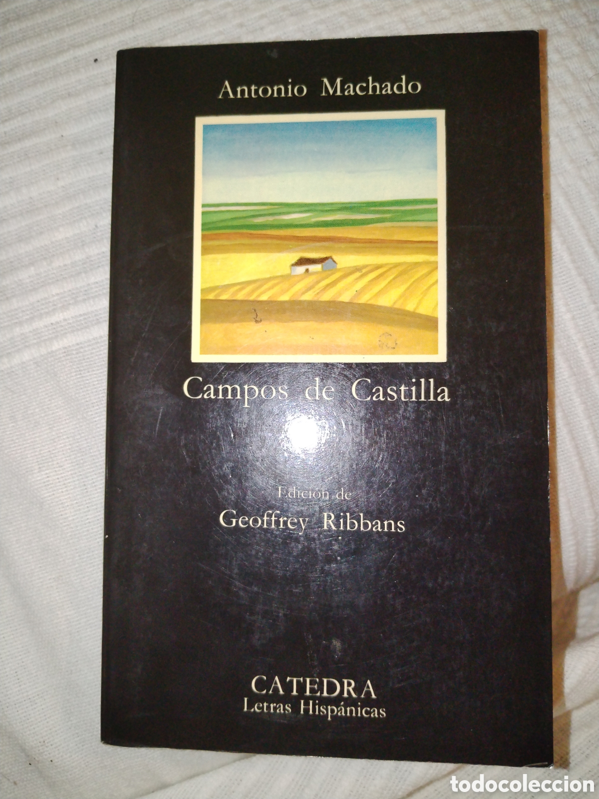 Libros de segunda mano: Campos de Castilla. Antonio Machado. C&aacute;tedra