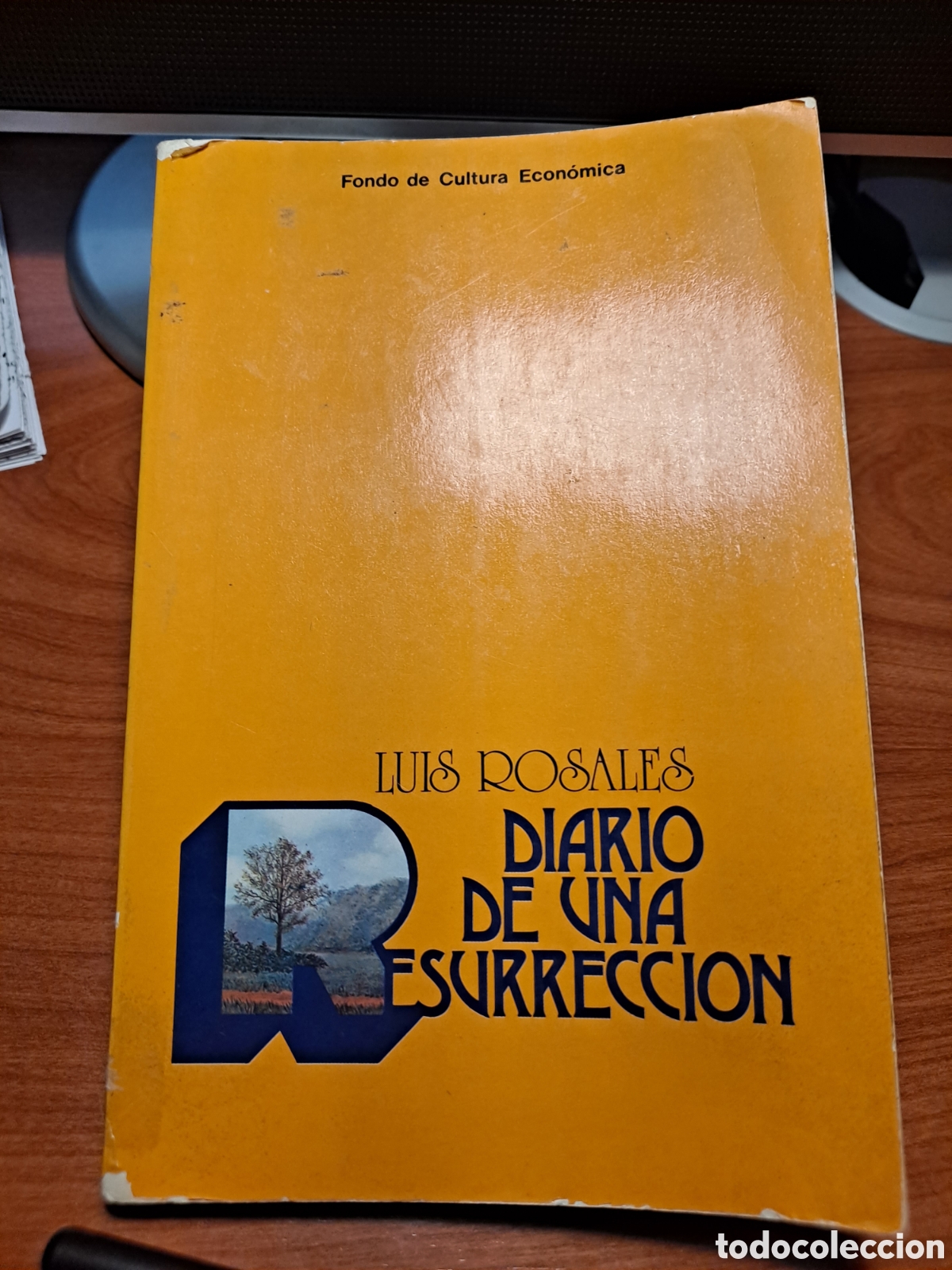 Libros de segunda mano: DIARIO DE UNA RESURRECCI&Oacute;N - LUIS ROSALES