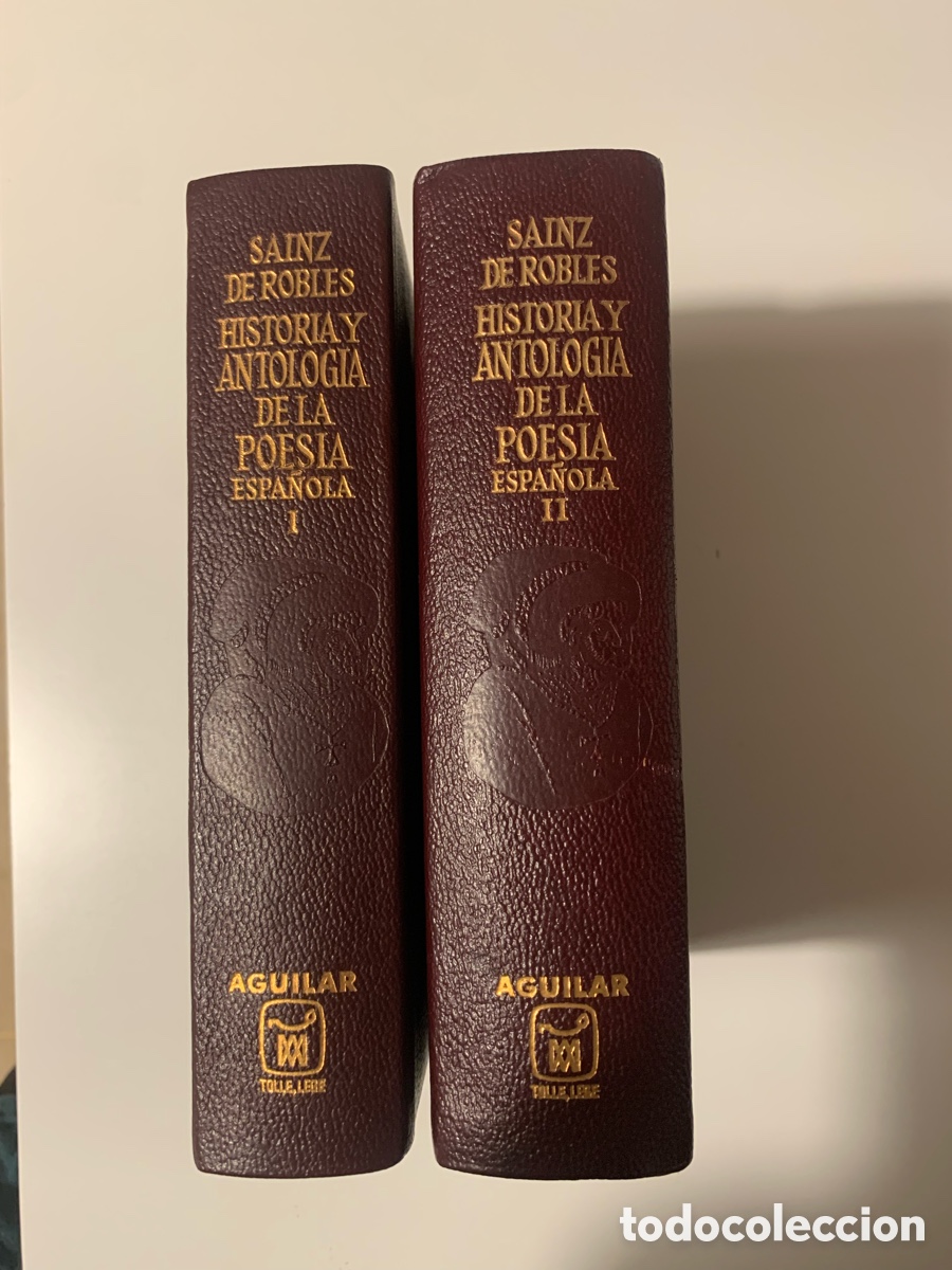 Libros de segunda mano: Historia y antolog&iacute;a de la poes&iacute;a espa&ntilde;ola. Dos tomos