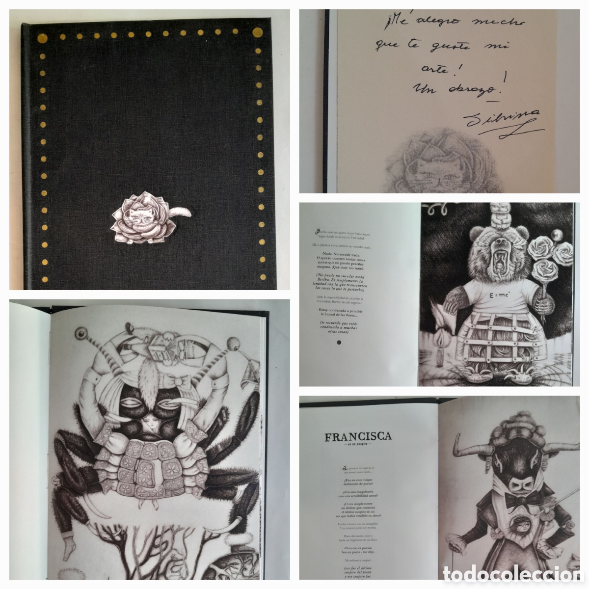 Libros de segunda mano: Silvina Amoroso. Feria de disfraces. Ejemplar numerado, dedicado y firmado. Muy ilustrado.