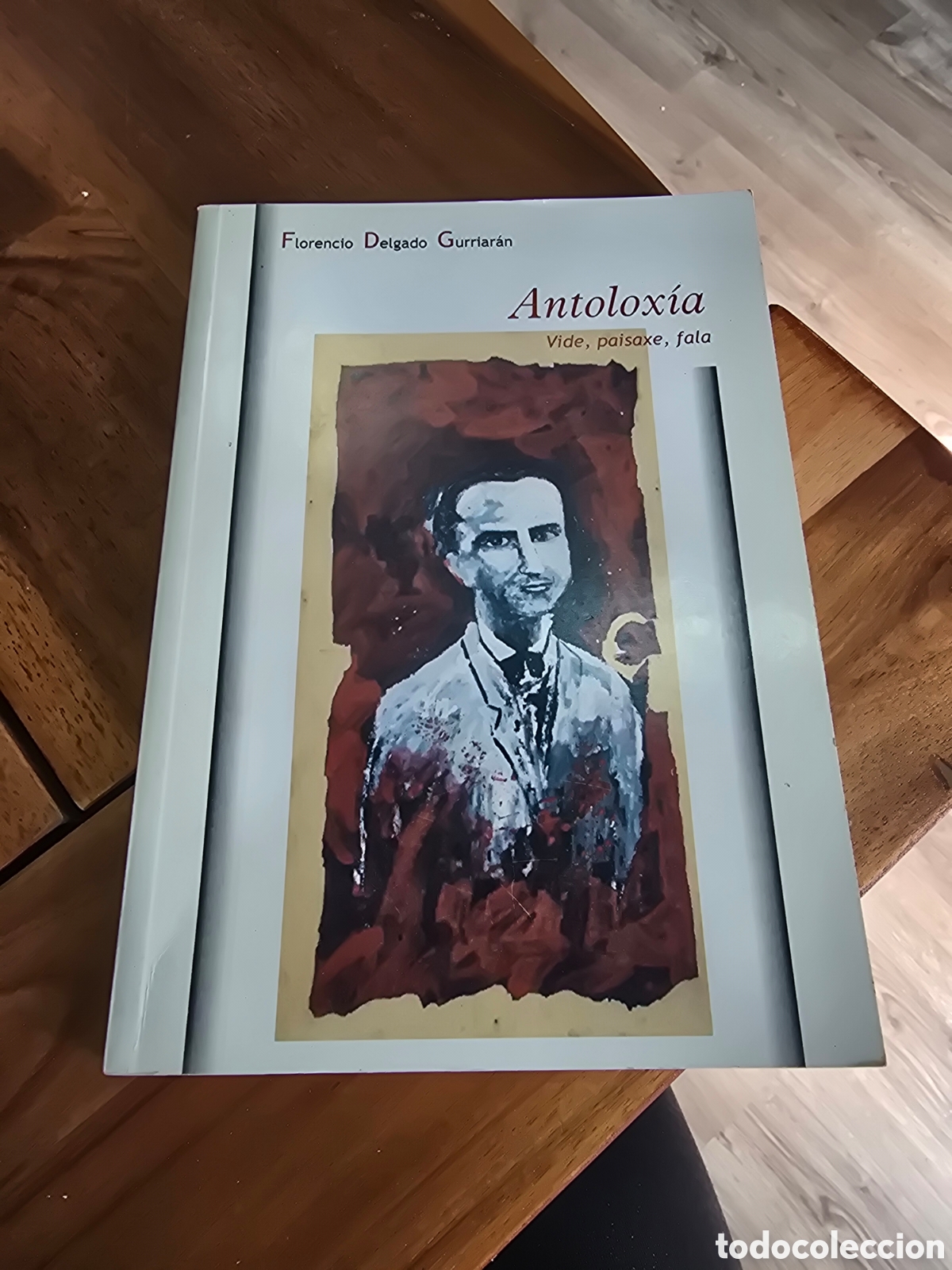 Gebrauchte B&uuml;cher: Antolox&iacute;a Vide, paisaxe, fala Florencio Delgado Gurriar&aacute;n Edici&oacute;n da Comisi&oacute;n da Homenaxe 2002