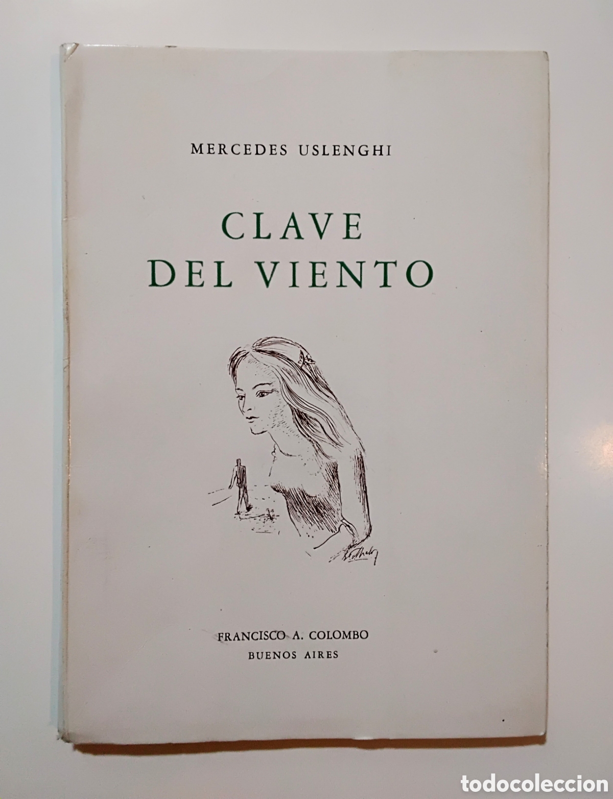 Libros de segunda mano: Mercedes Uslenghi &mdash; Clave del viento (Francisco A. Colombo, Buenos Aires, 1975) &mdash; Primera edici&oacute;n