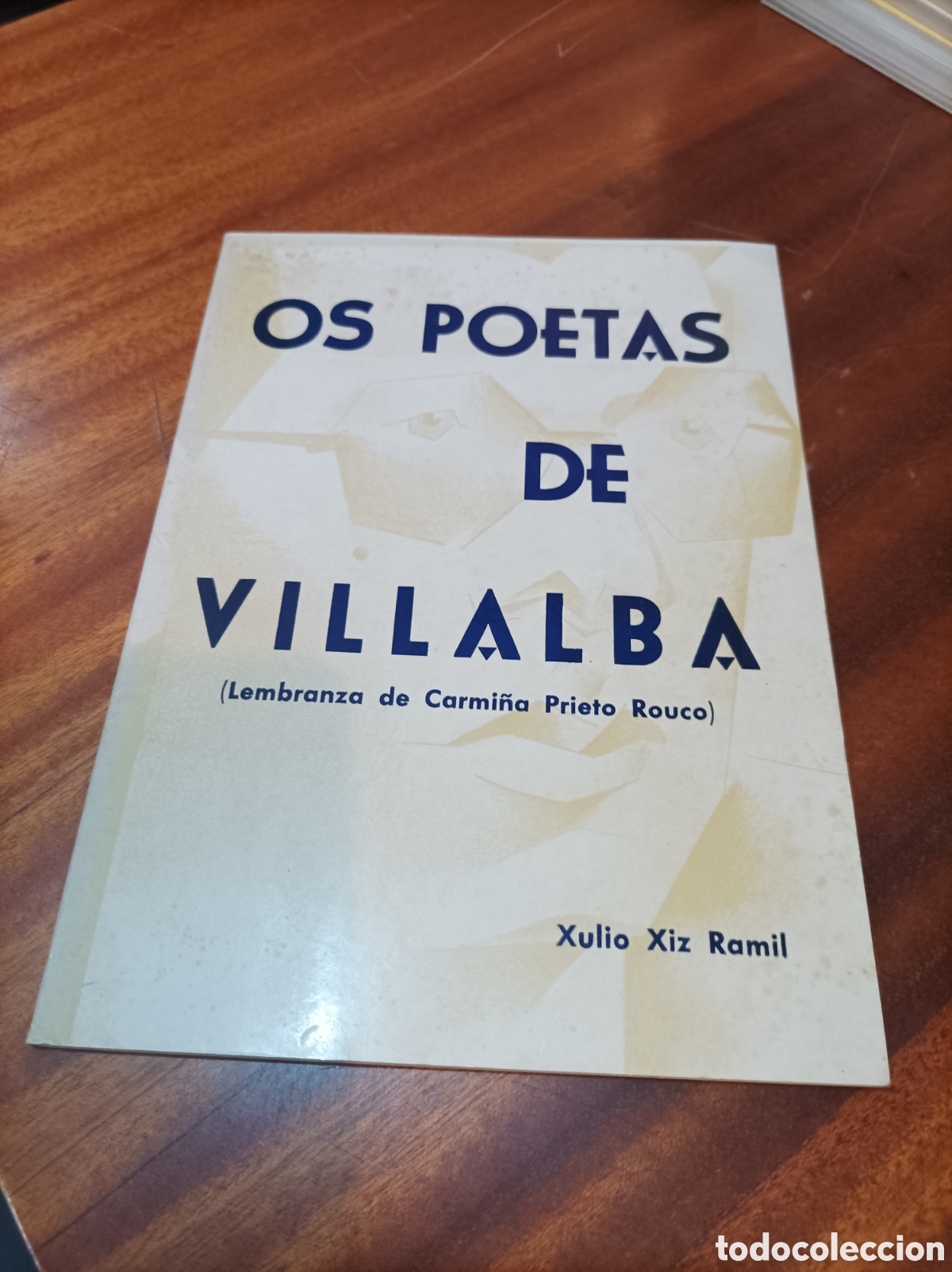 Libros de segunda mano: OS POETAS DE VILLALBA.XULIO XIZ RAMIL