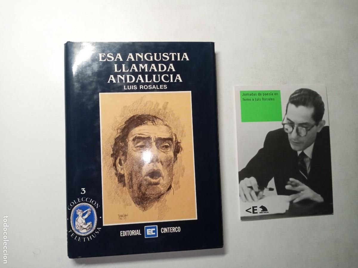 Libros de segunda mano: ESA ANGUSTIA LLAMADA ANDALUC&Iacute;A + TR&Iacute;PTICO - LUIS ROSALES - EDITORIAL CINTERCO 1987