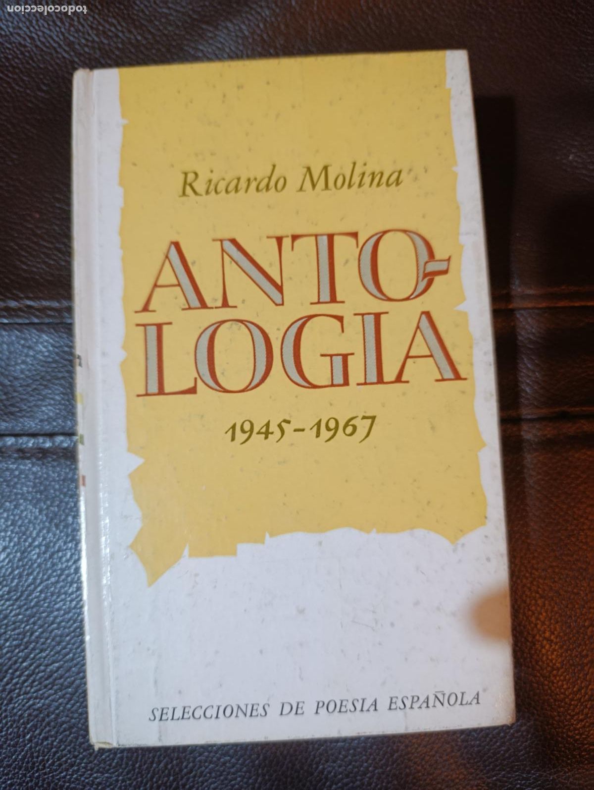 Libros de segunda mano: ANTOLOGIA RICARDO MOLINA