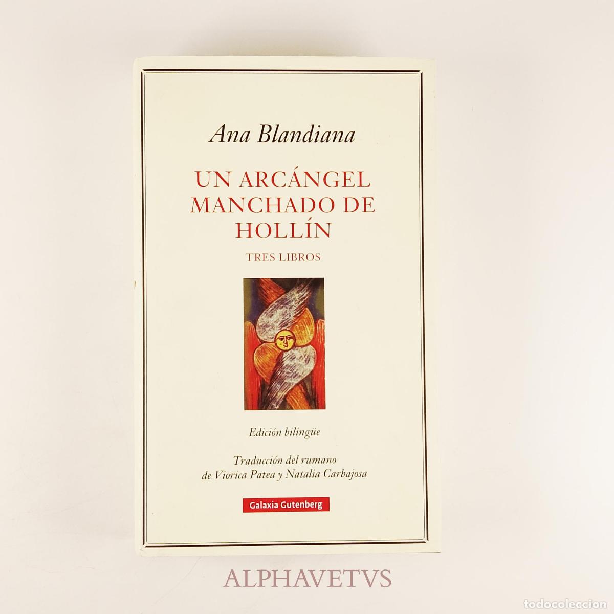 Libros de segunda mano: Un arc&aacute;ngel manchado de holl&iacute;n Edici&oacute;n biling&uuml;e - Blandiana, Ana