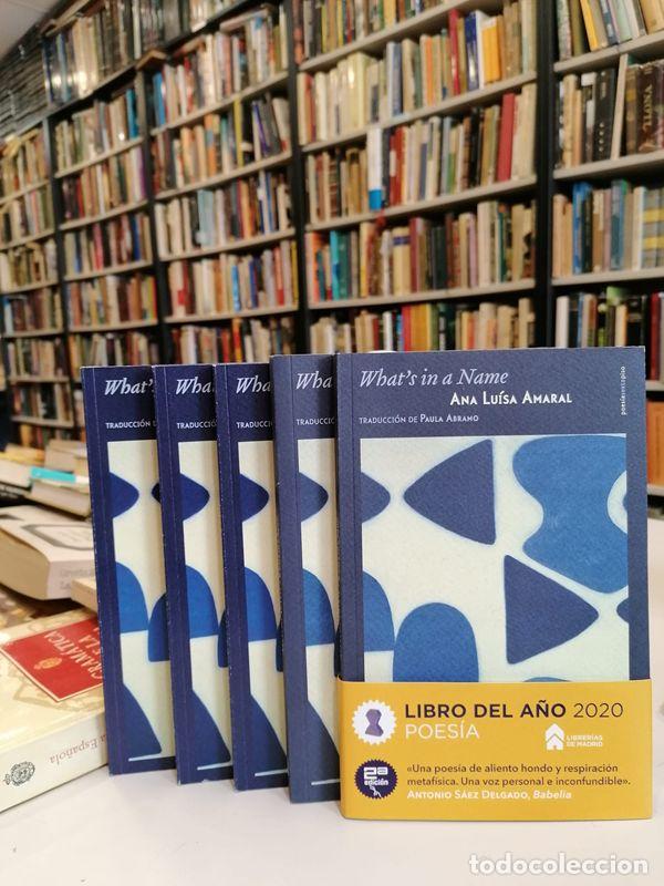 Libri di seconda mano: WHATS IN A NAME. - Amaral, Ana Luisa.