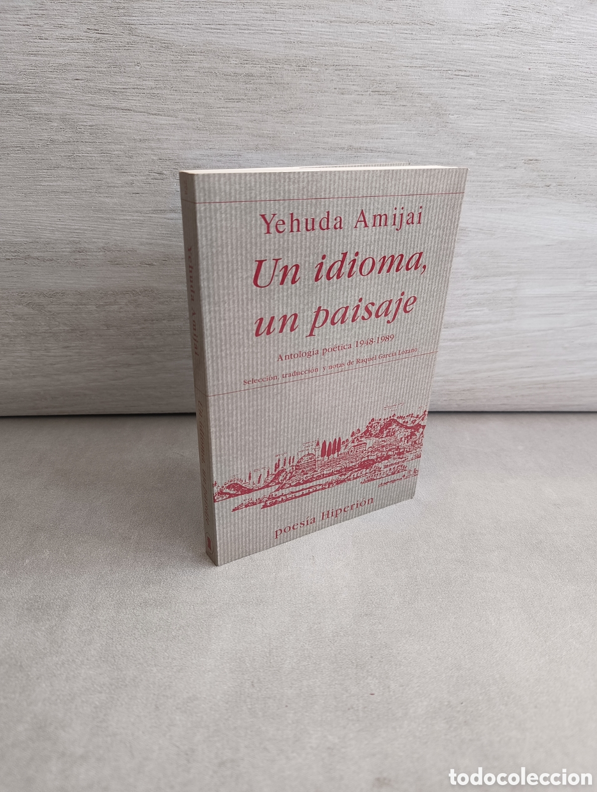 Libri di seconda mano: UN IDIOMA, UN PAISAJE. Yehuda Amijai. Antolog&iacute;a po&eacute;tica 1948-1989. Hiperi&oacute;n.