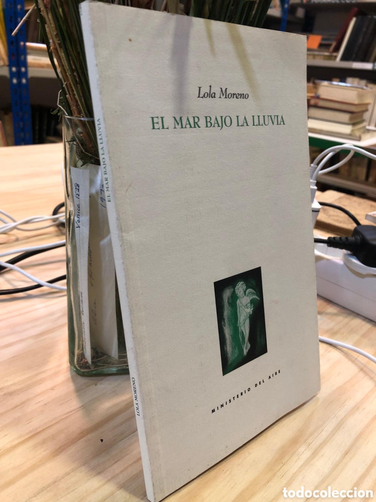 Livres d'occasion: El mar bajo la lluvia - Lola Moreno