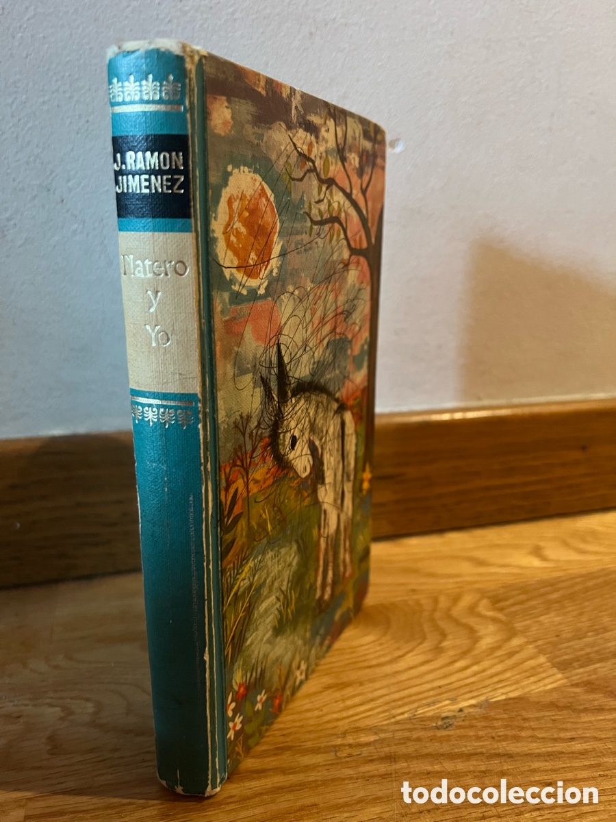 Libros de segunda mano: J. Ramon Jim&eacute;nez Platero y yo