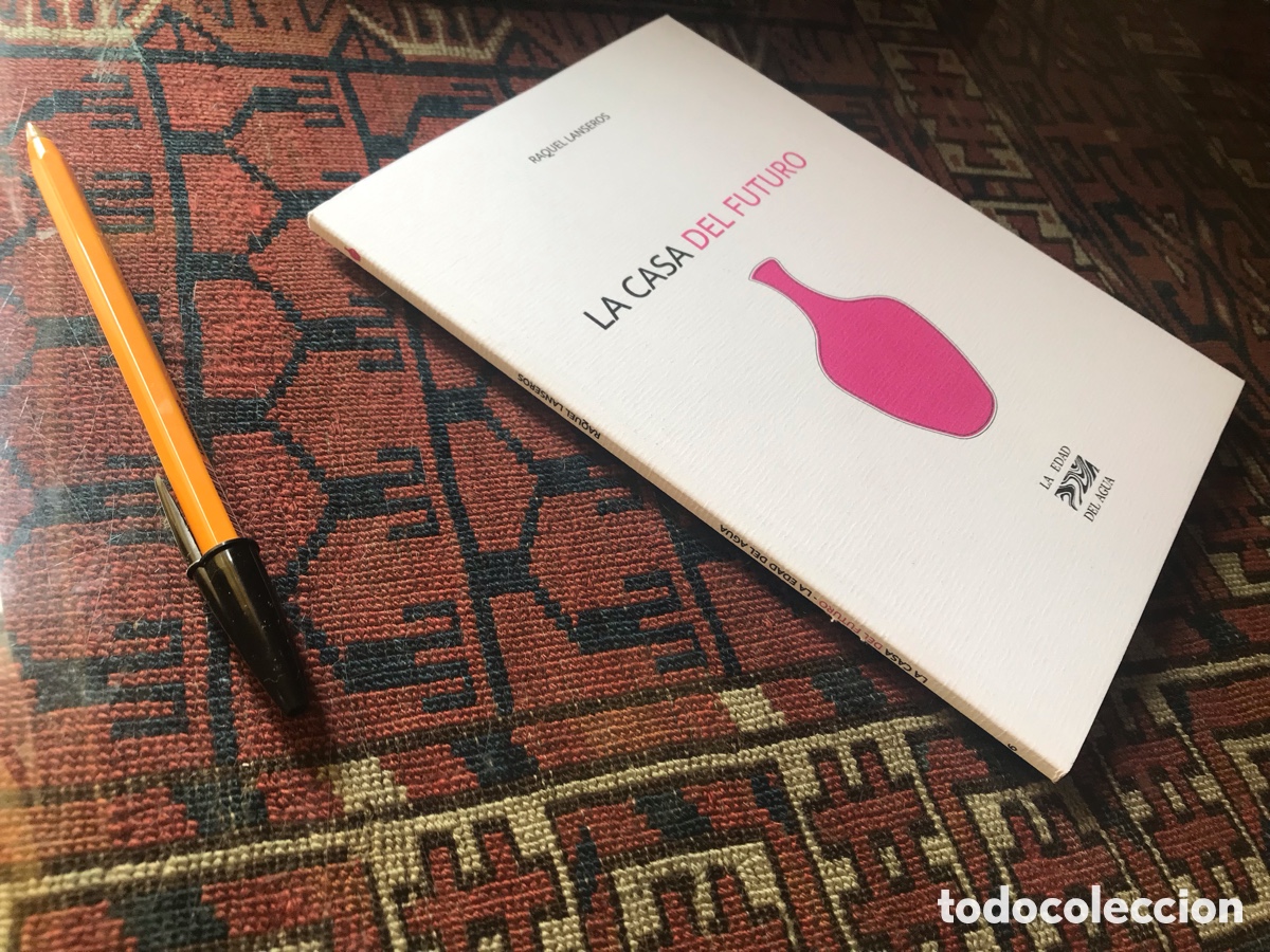 Libros de segunda mano: La casa del futuro. Raquel Lanseros. La edad del agua