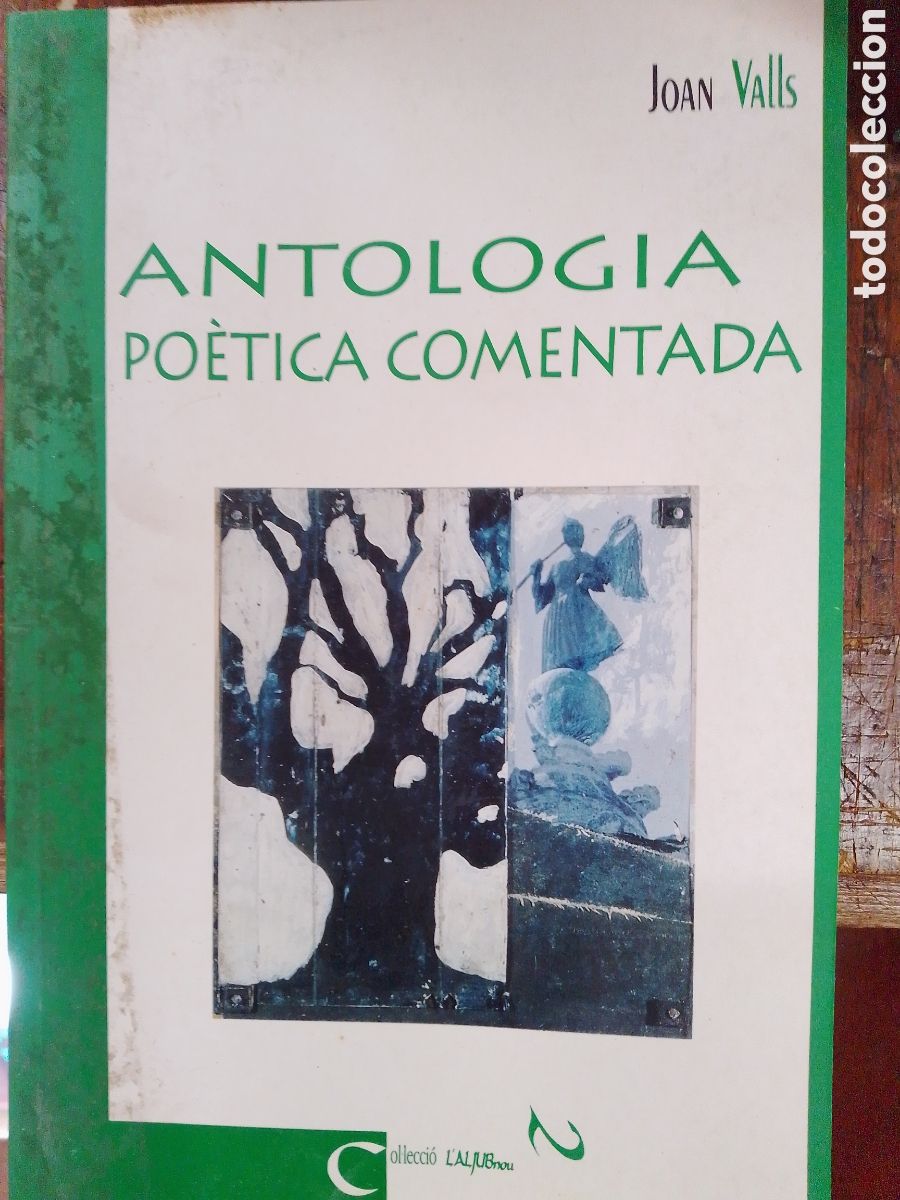Libros de segunda mano: ANTOLOGIA POETICA COMENTADA. VALLS, JOAN. AGUACLARA. 1998