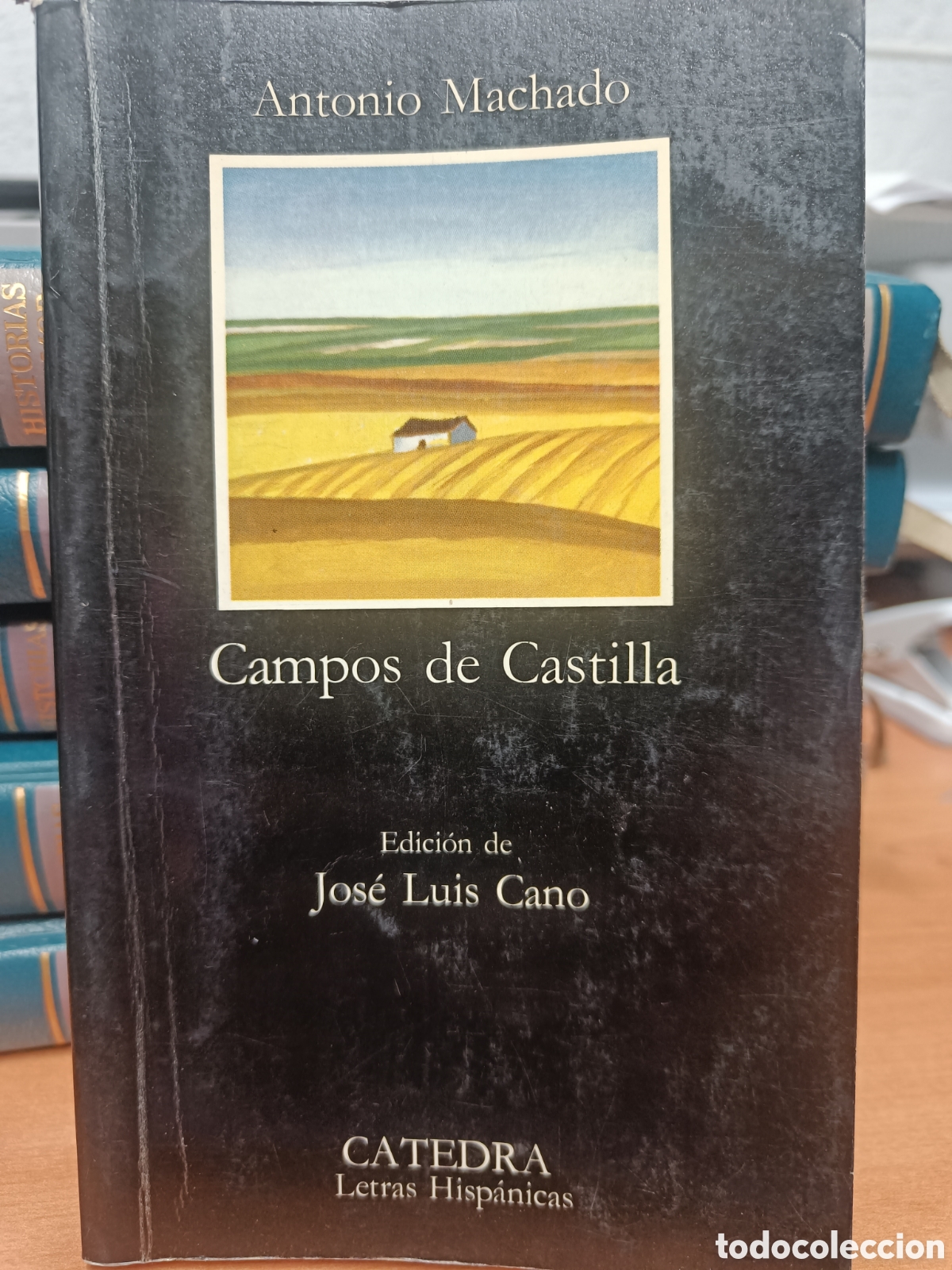 Libros de segunda mano: CAMPOS DE CASTILLA. ANTONIO MACHADO. C&Aacute;TEDRA. LETRAS HISP&Aacute;NICAS