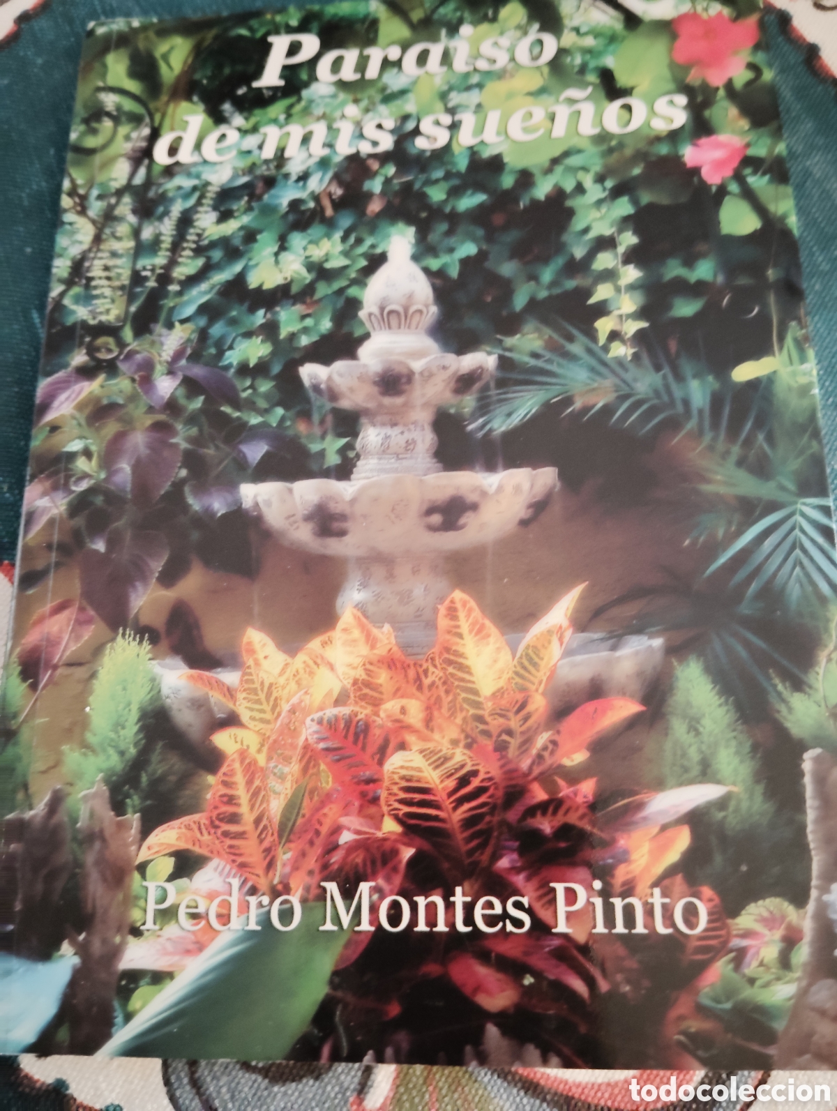 Libros de segunda mano: Para&iacute;so de mis sue&ntilde;os. Pedro Montes Pinto. Raro solo 500 ejemplares