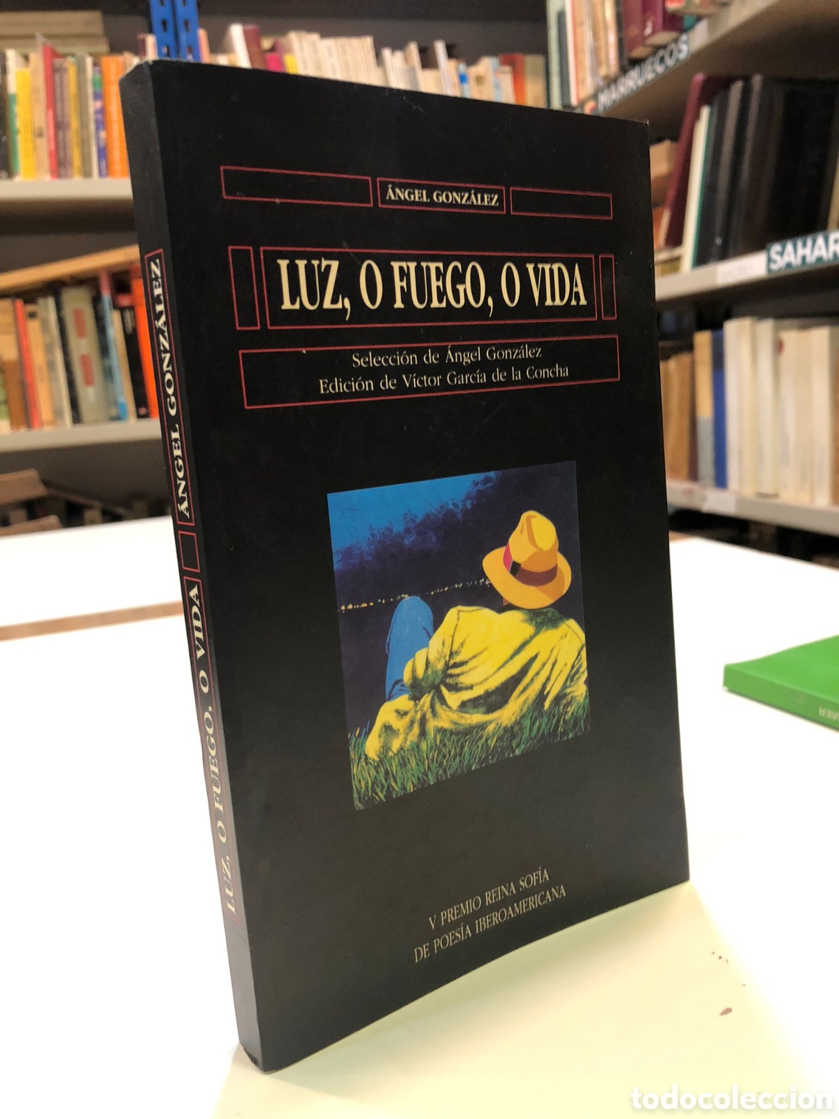 Gebrauchte B&uuml;cher: Luz, o fuego, o vida - &Aacute;ngel Gonz&aacute;lez