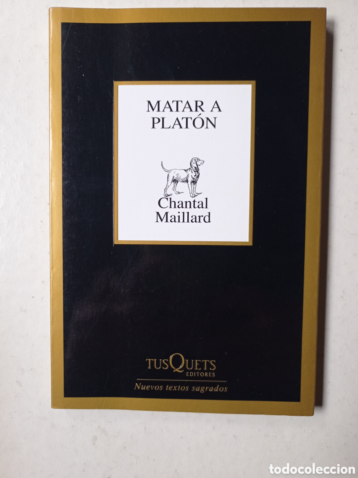 Libros de segunda mano: Matar a Plat&oacute;n. Chantal Maillard.