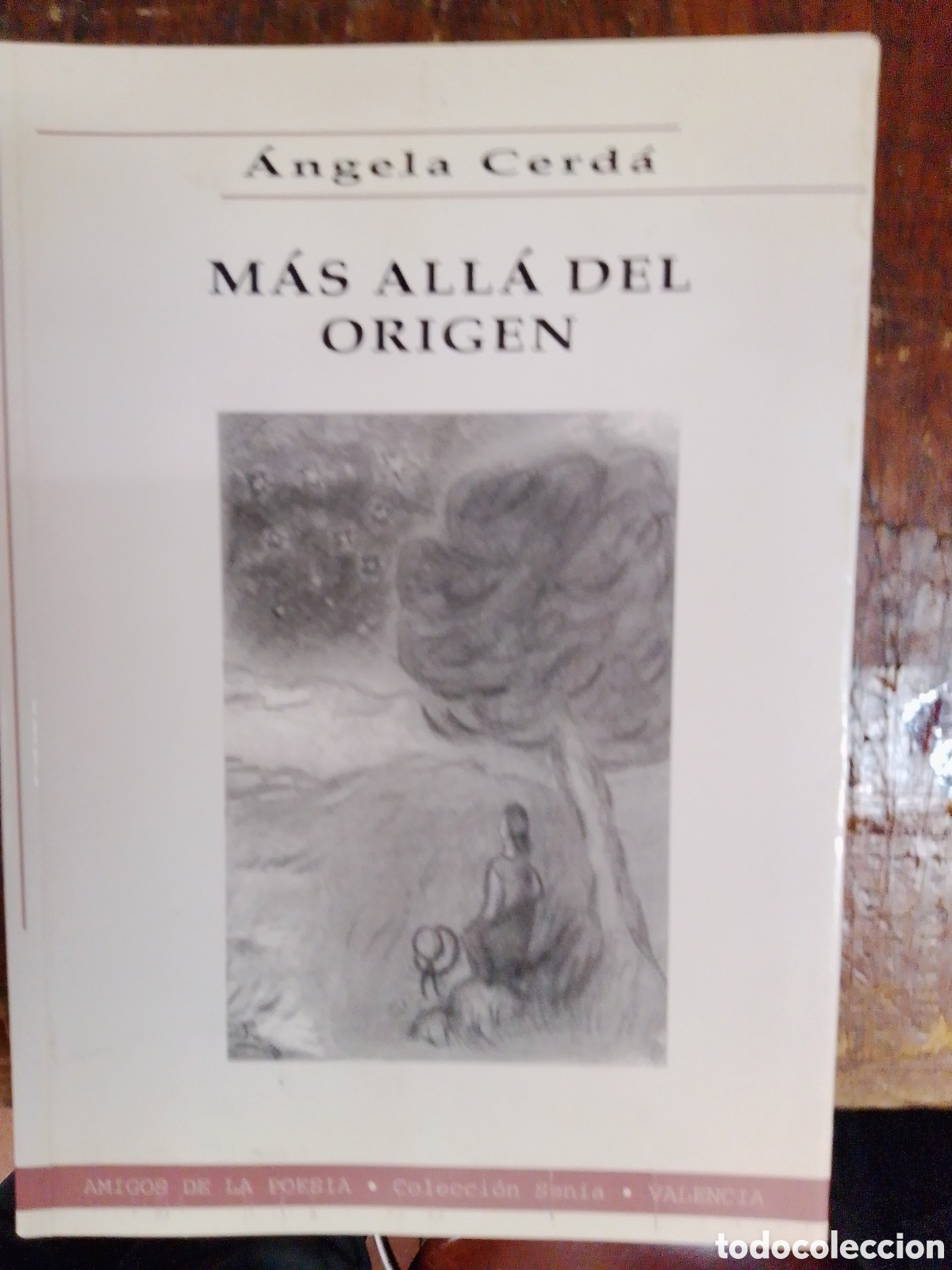 Libros de segunda mano: MAS ALLA DEL ORIGEN. CERDA, ANGELA. AMIGOS DE LA POESIA. 2000