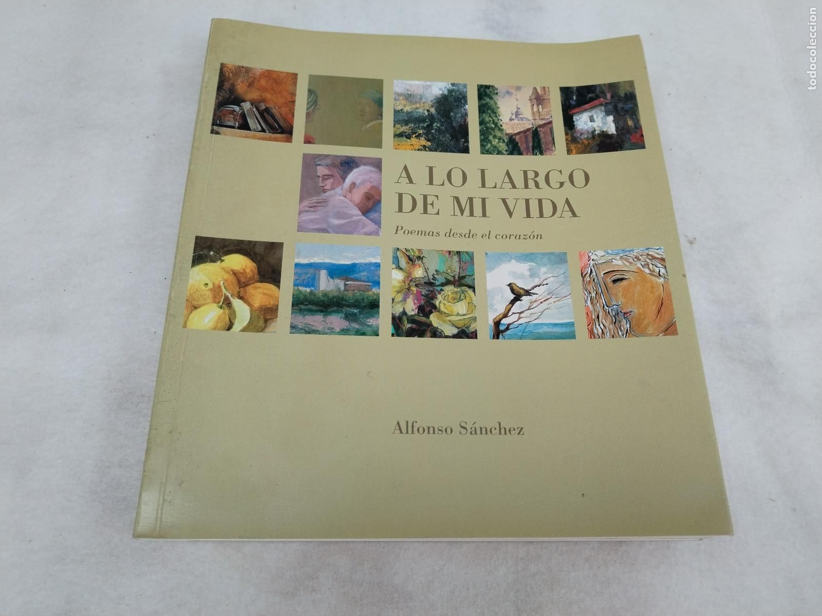 Libros de segunda mano: a lo largo de mi vida, poemas desde el coraz&oacute;n,murcia, alfonso sanchez - c189