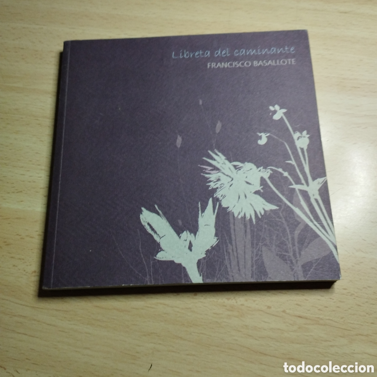Libros de segunda mano: Libreta del caminante. Francisco Basallote. 2007. Consejer&iacute;a de educaci&oacute;n