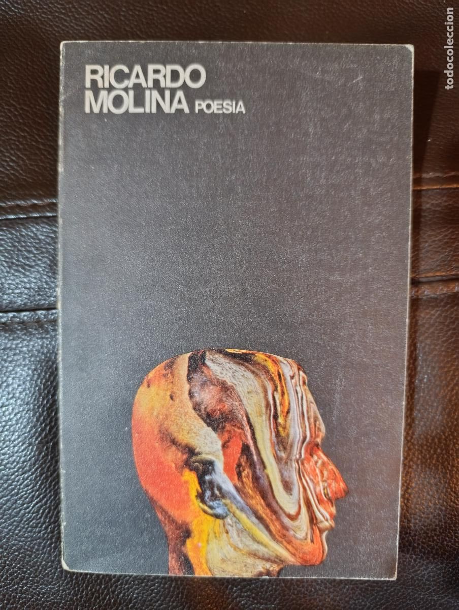 Libros de segunda mano: RICARDO MOLINA POESIA