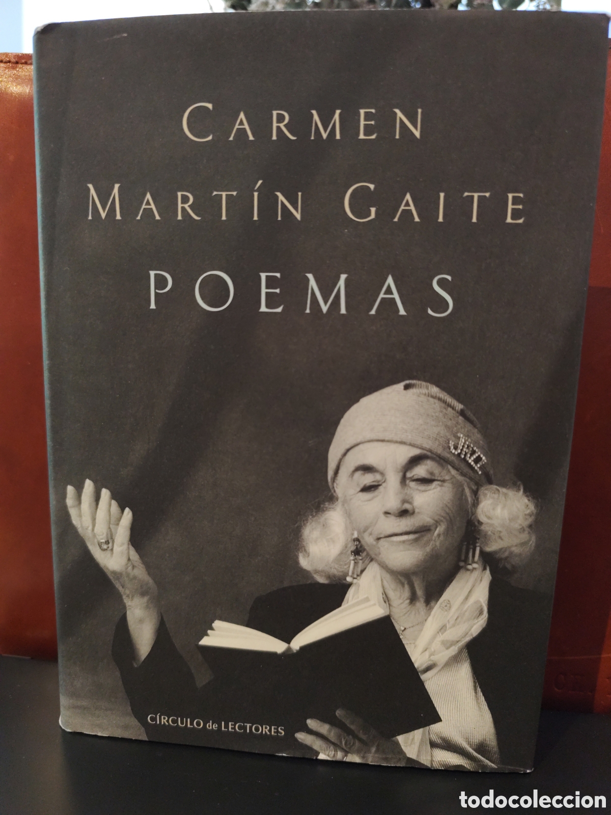 Libros de segunda mano: Carmen Mart&iacute;n Gaite. Poemas