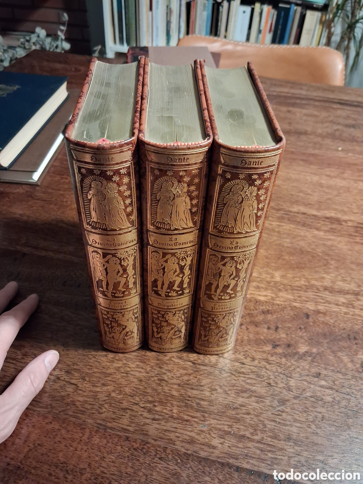 Libros de segunda mano: La Divina Comedia,Dante. Edici&oacute;n de lujo.