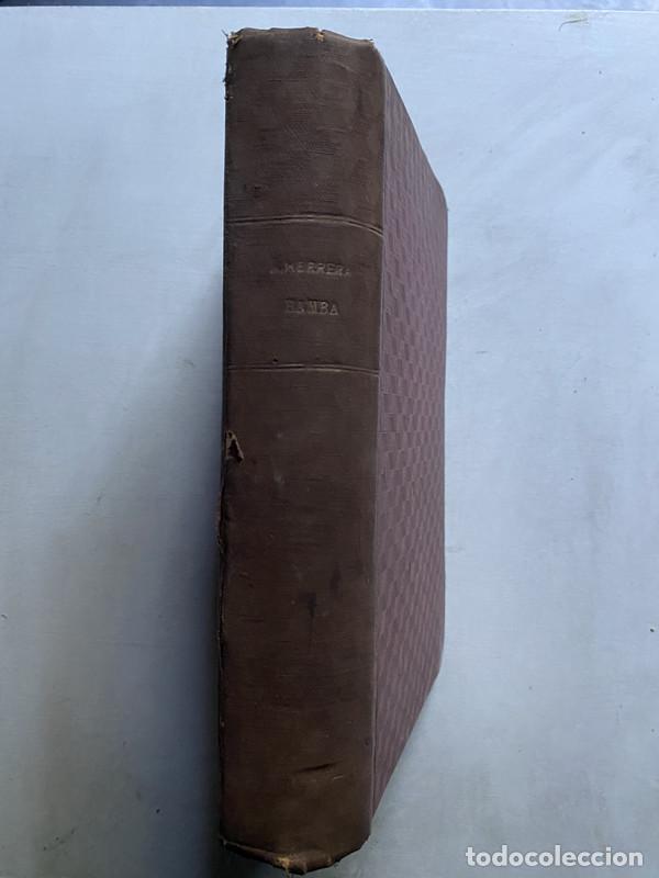 Libros de segunda mano: Bamba - Herrera Ataliva - Foto 2