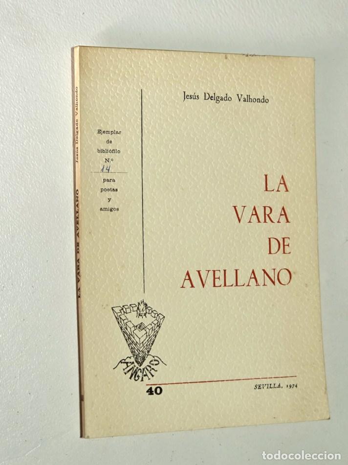 Libros de segunda mano: LA VARA DEL AVELLANO - DELGADO VALHONDO, Jes&uacute;s.-