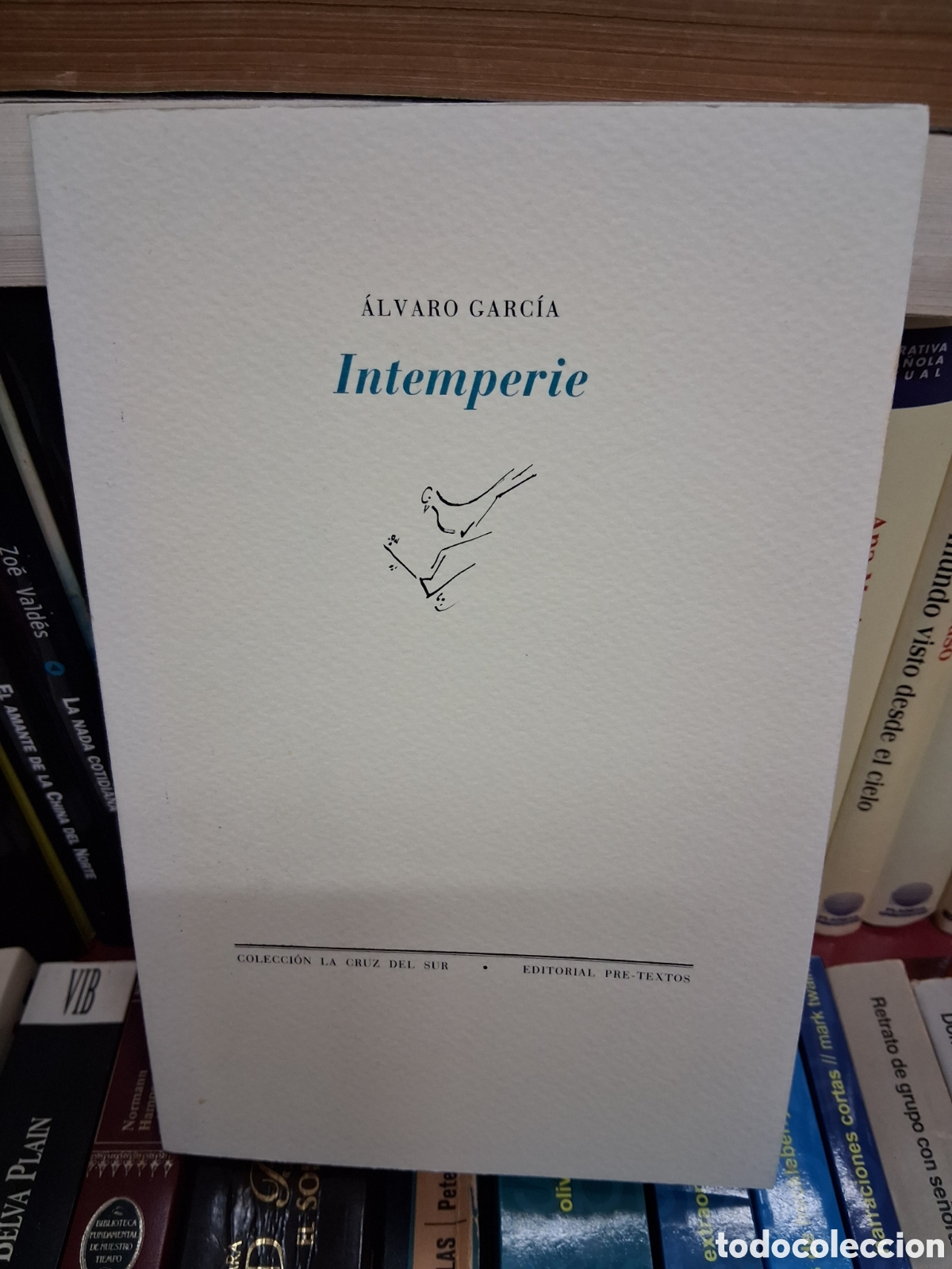 Libros de segunda mano: Intemperie - Alvaro Garcia - Poesia - Editorial pre-textos