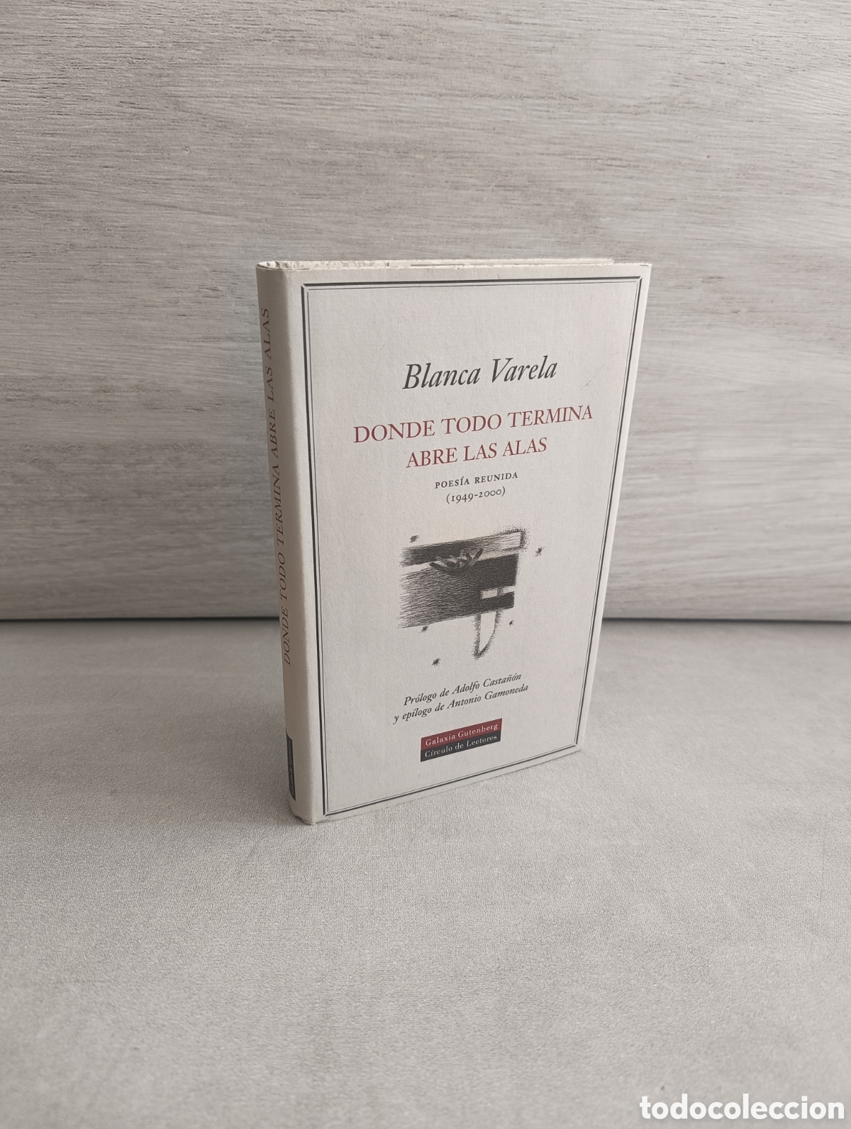 Libri di seconda mano: DONDE TODO TERMINA ABRE LAS ALAS. BLANCA VARELA. POES&Iacute;A REUNIDA (1949-2000)