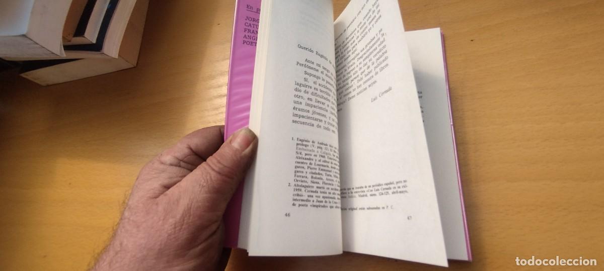 Libros de segunda mano: CARTAS A EUGENIO DE ANDRADE / LUIS CERNUDA / KARA 02 / - Foto 6