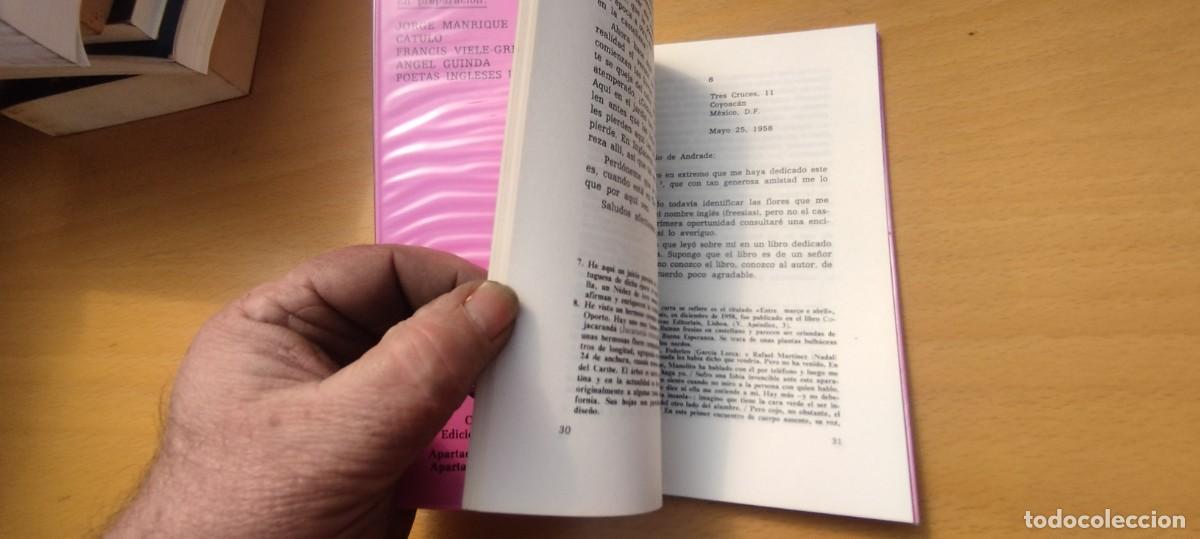 Libros de segunda mano: CARTAS A EUGENIO DE ANDRADE / LUIS CERNUDA / KARA 02 / - Foto 7