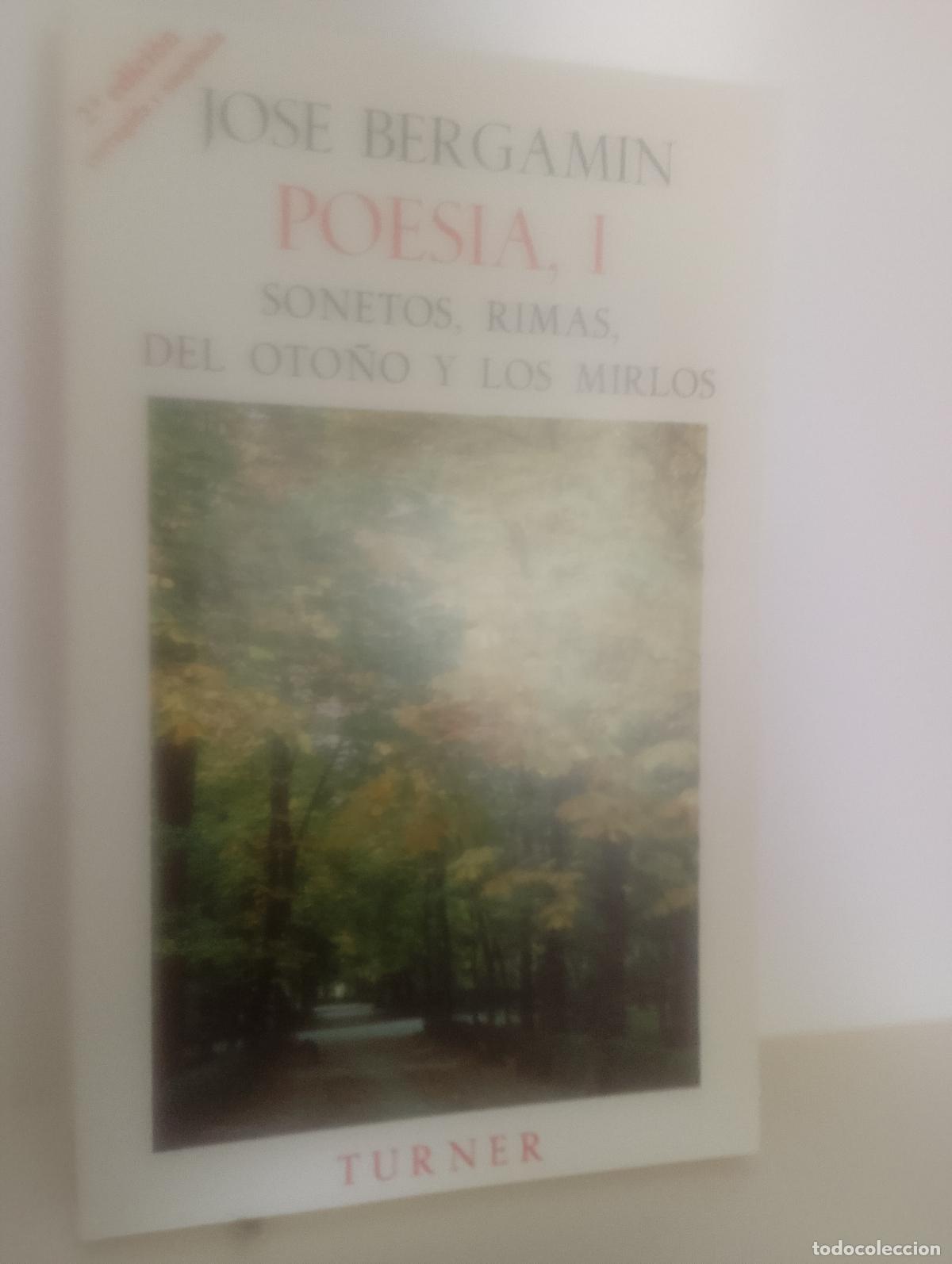 Libros de segunda mano: Jos&eacute; Bergam&iacute;n Poes&iacute;a I Sonetos, rimas, del oto&ntilde;o y de los mirlos